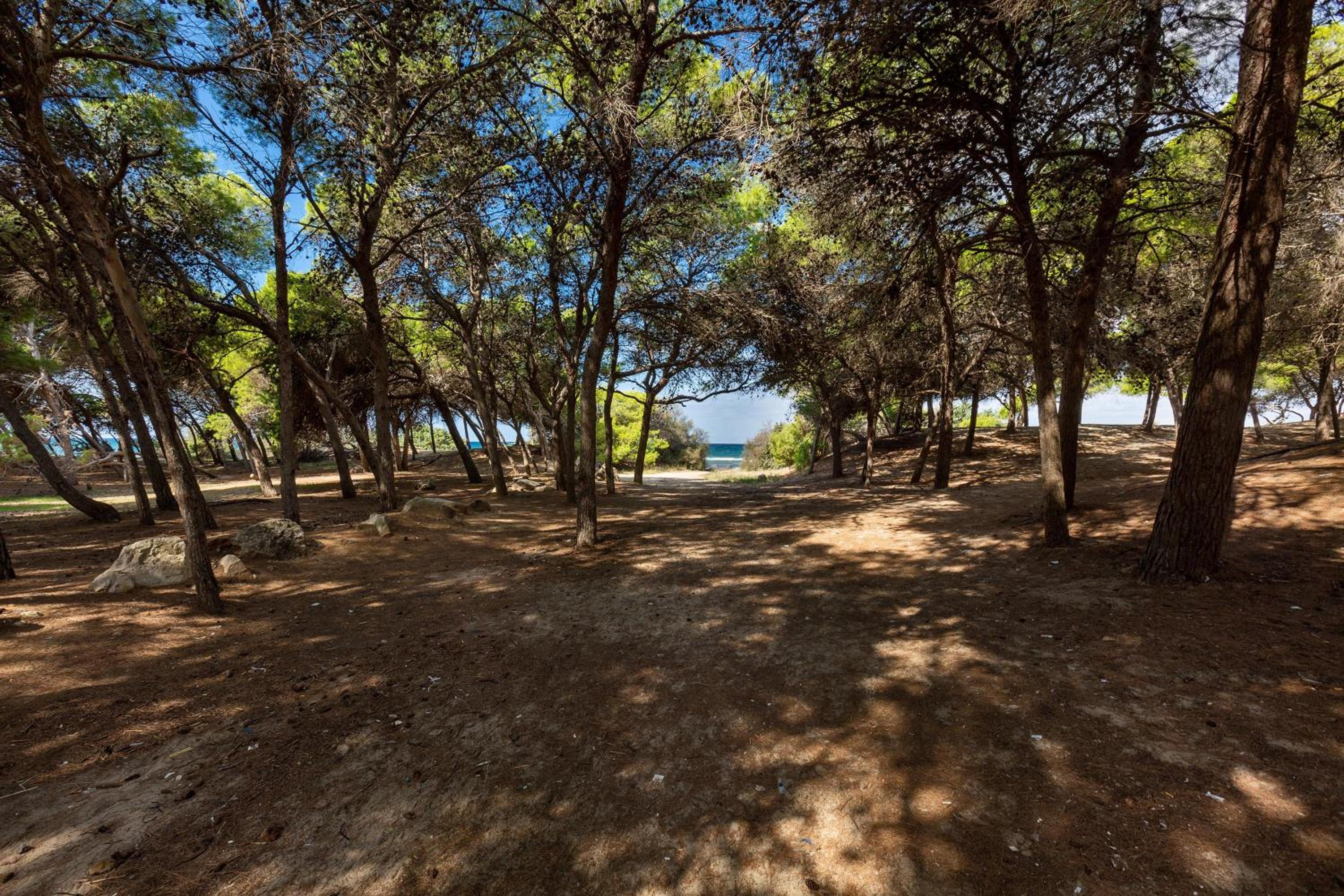 Villetta Lido La Pineta by BarbarHouse view 5