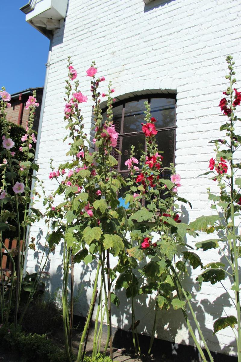 Photo 47