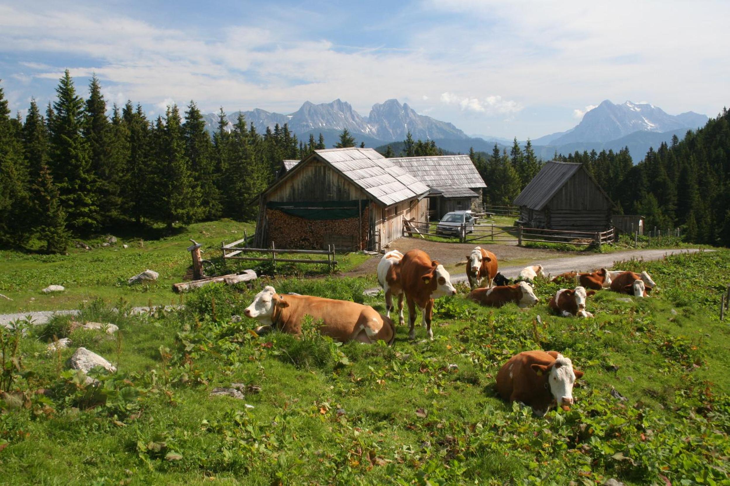 Ferienhaus Alte Mühle Hohentauern