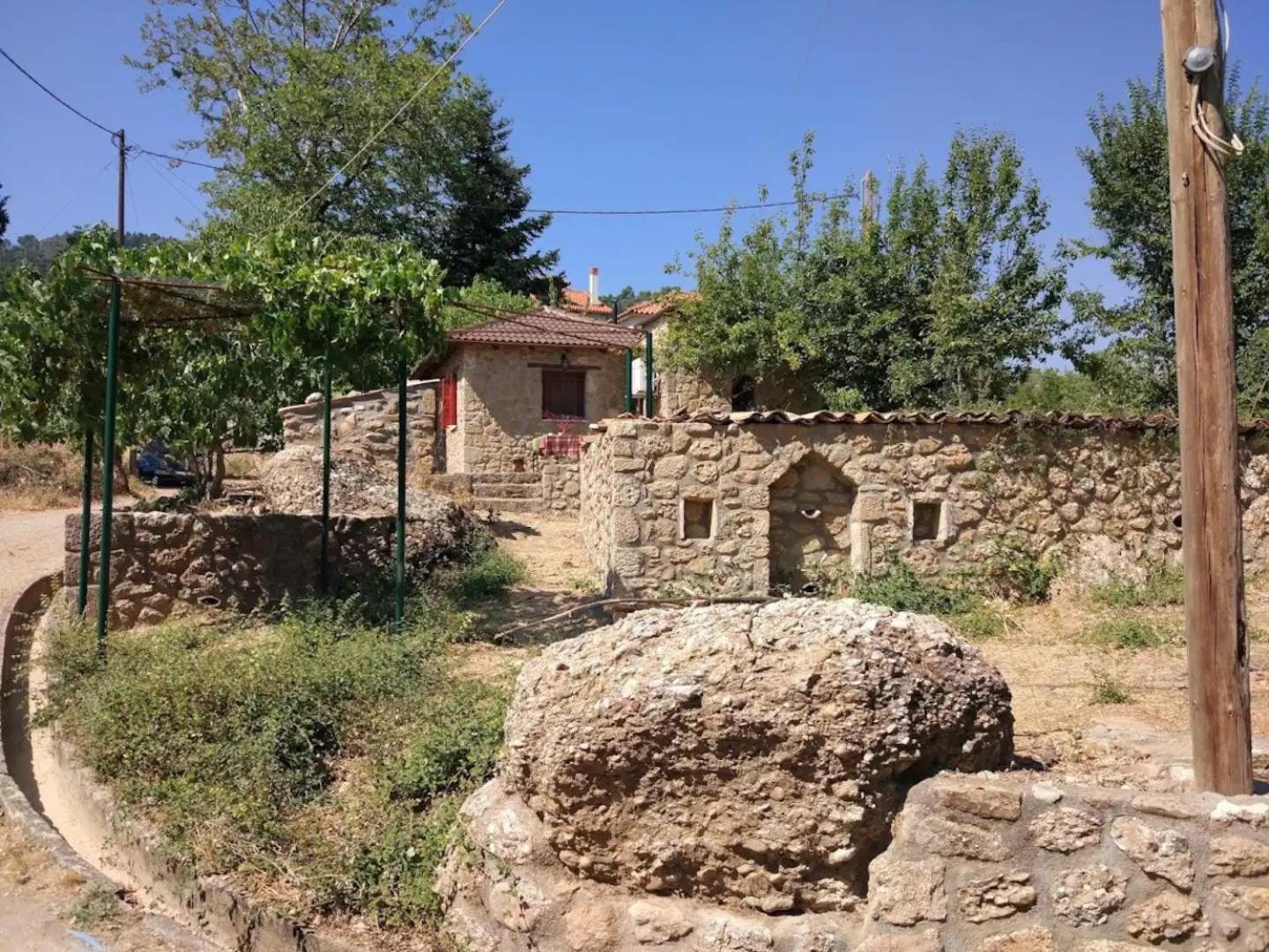 ΦΙΛΥΡΑ ΠΕΤΡΙΝΟ