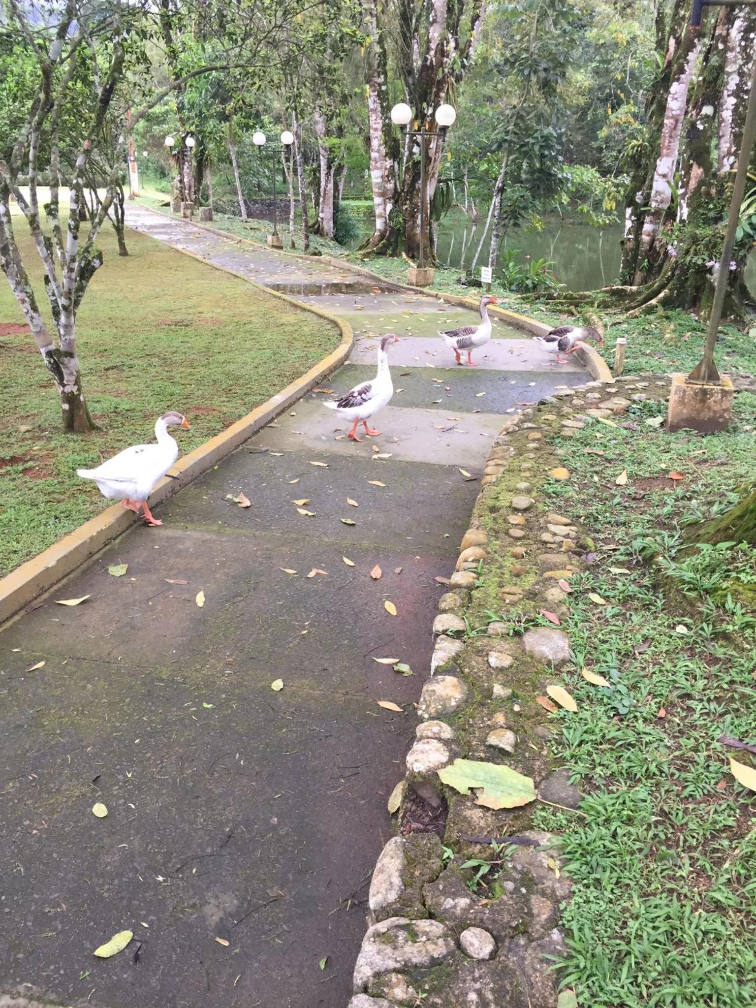 Casa Condomínio de Luxo Ubatuba SP