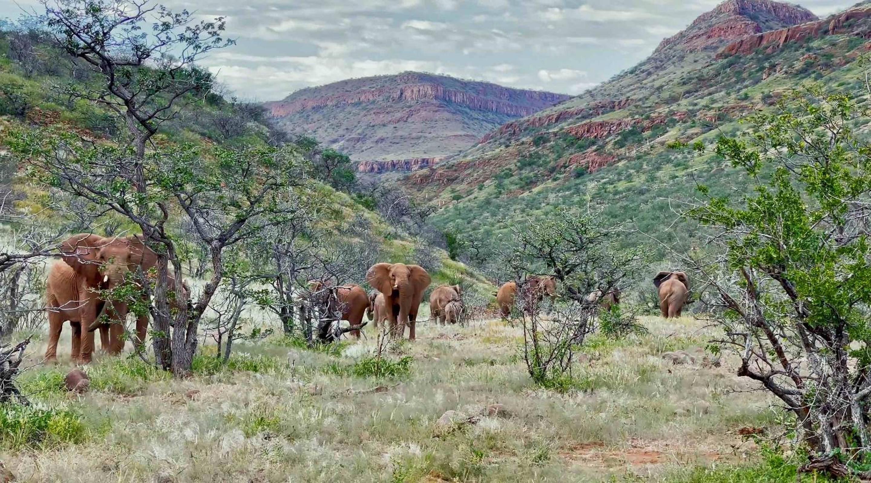Grootberg Lodge