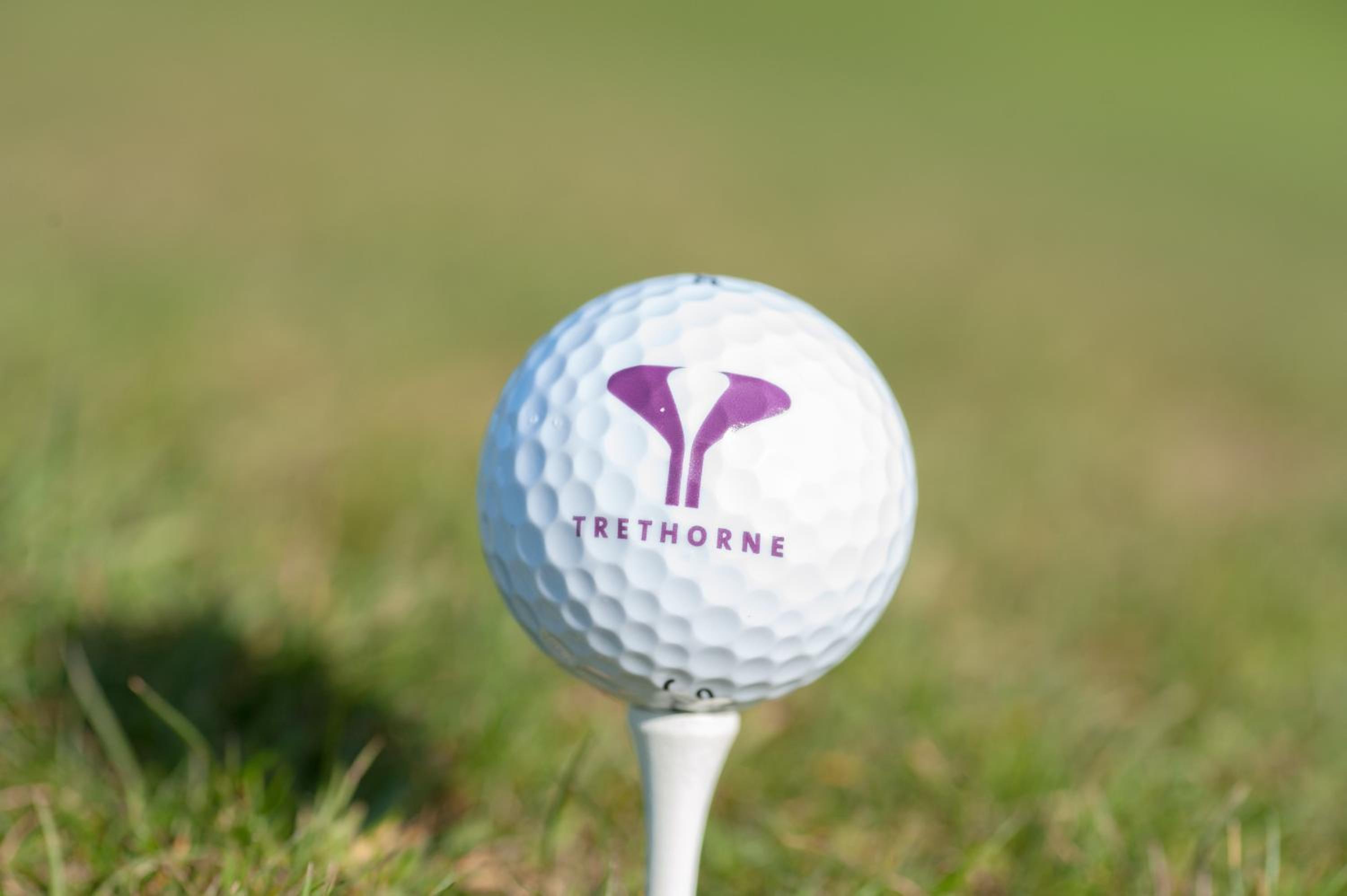 Trethorne Hotel & Golf Club, Foto 42