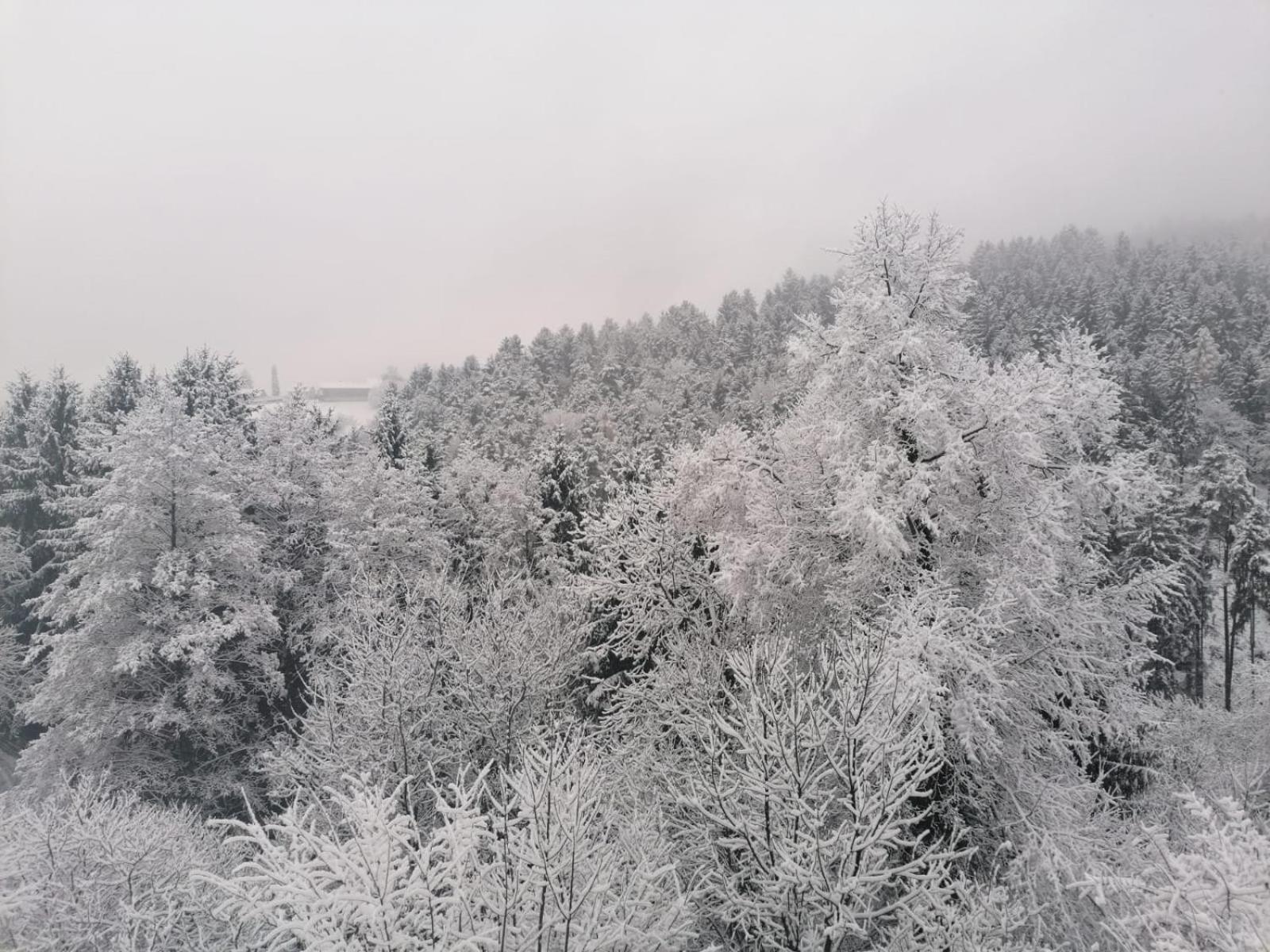 Ferienhaus Schilcherland