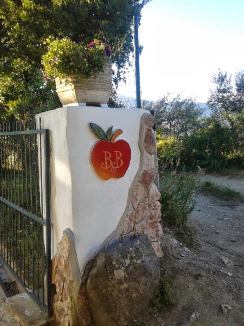 B&B Meladormo, photo 5