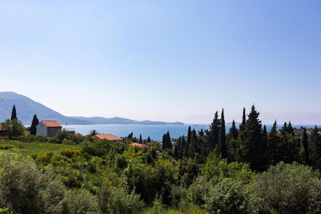 Villa Avoca