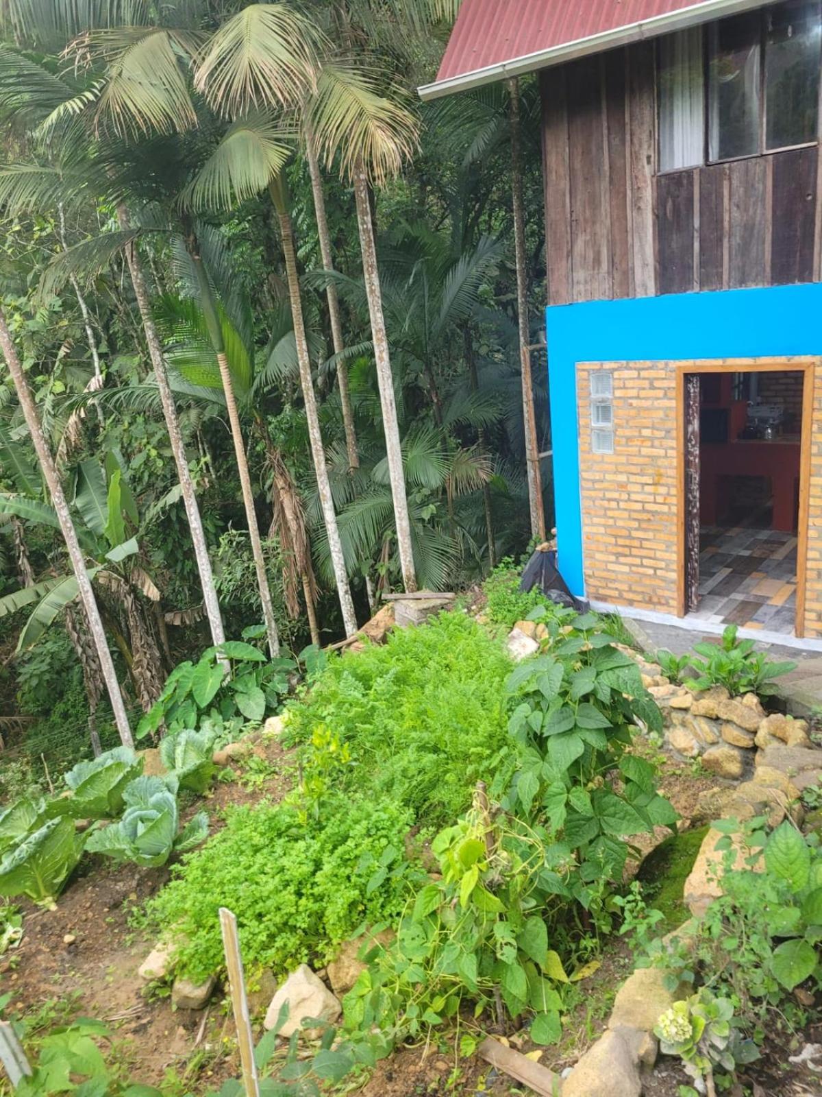 Chalé Itape view 5