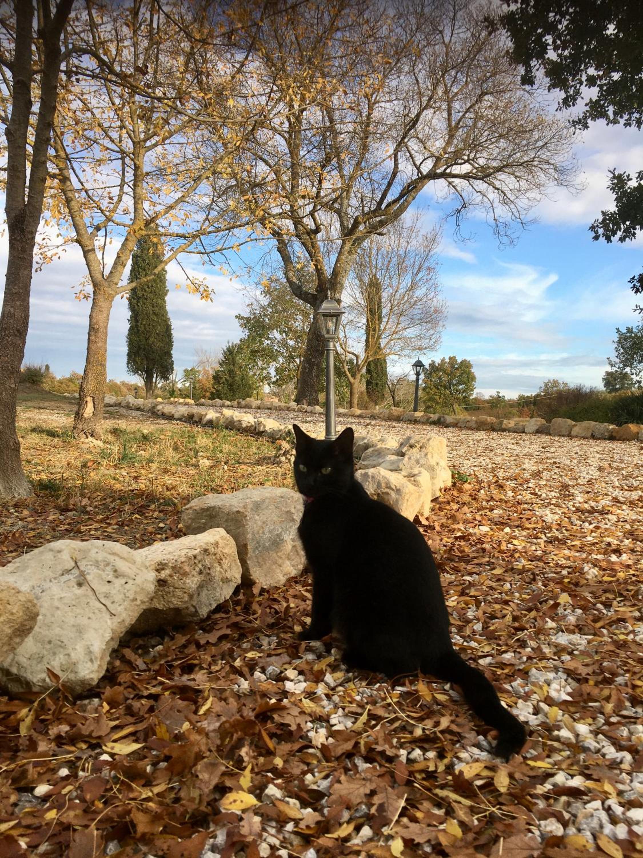 Vento d’Orcia