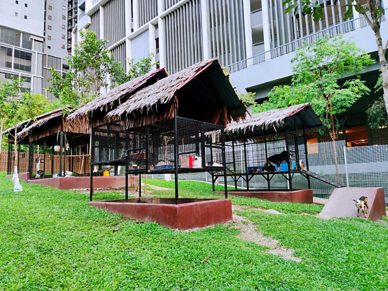 Maxine Suites