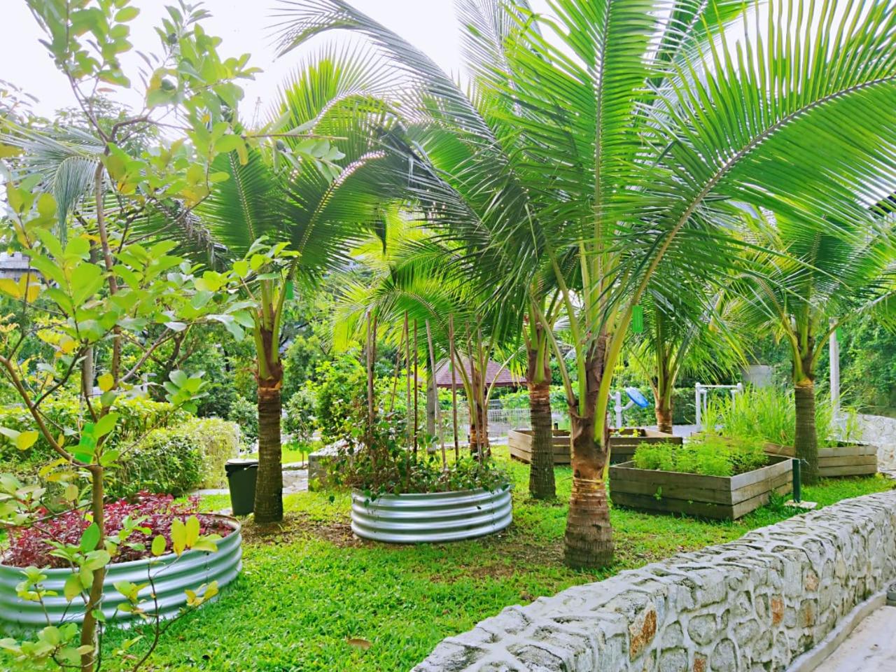 Maxine Suites
