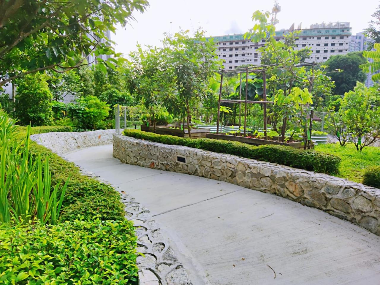 Maxine Suites