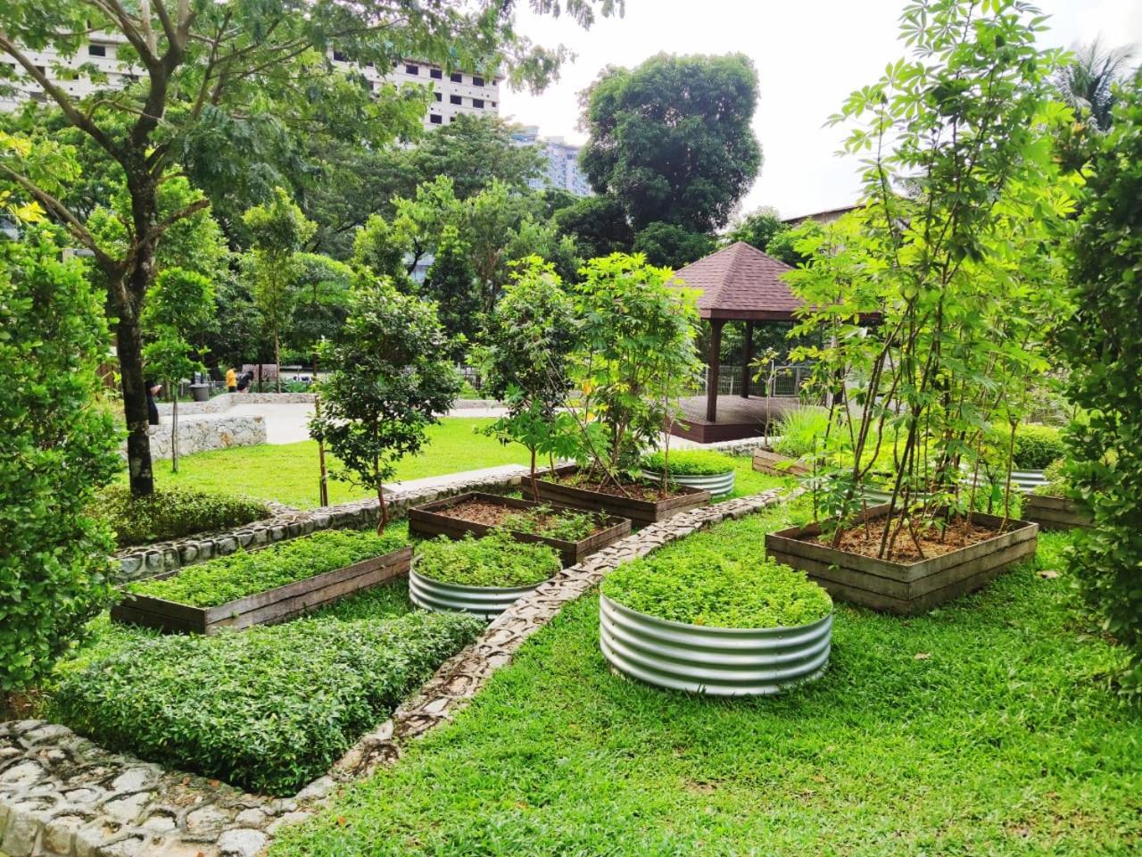 Maxine Suites