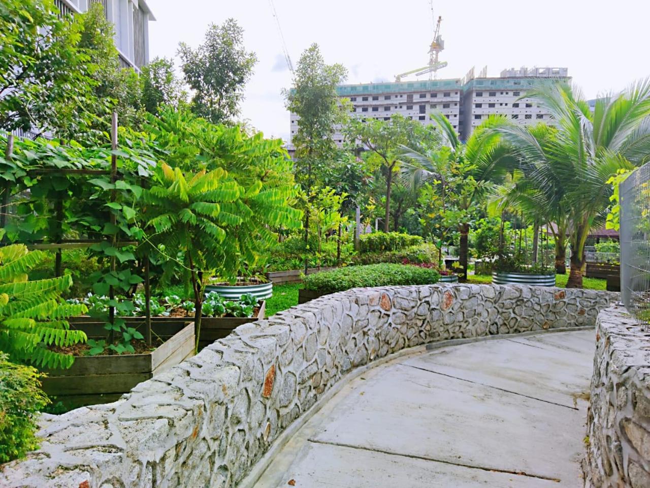 Maxine Suites