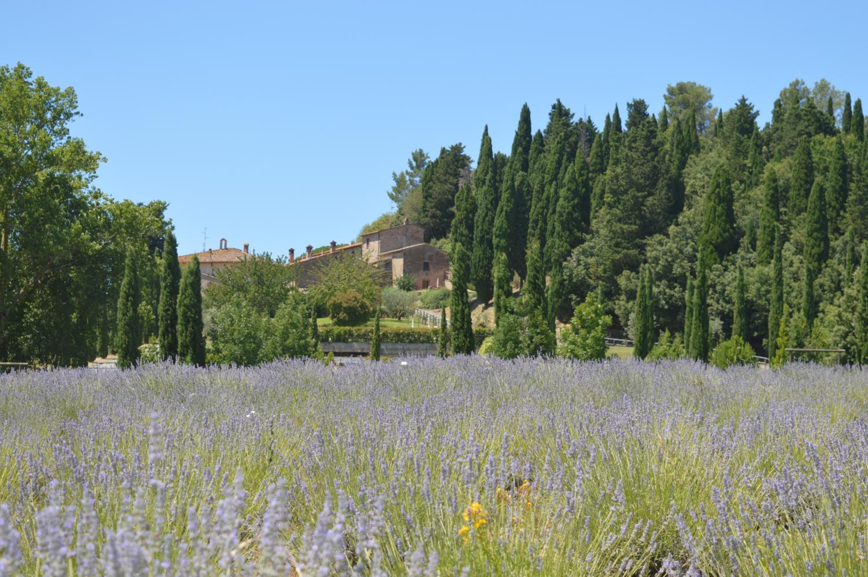 Borgo Il Castagno