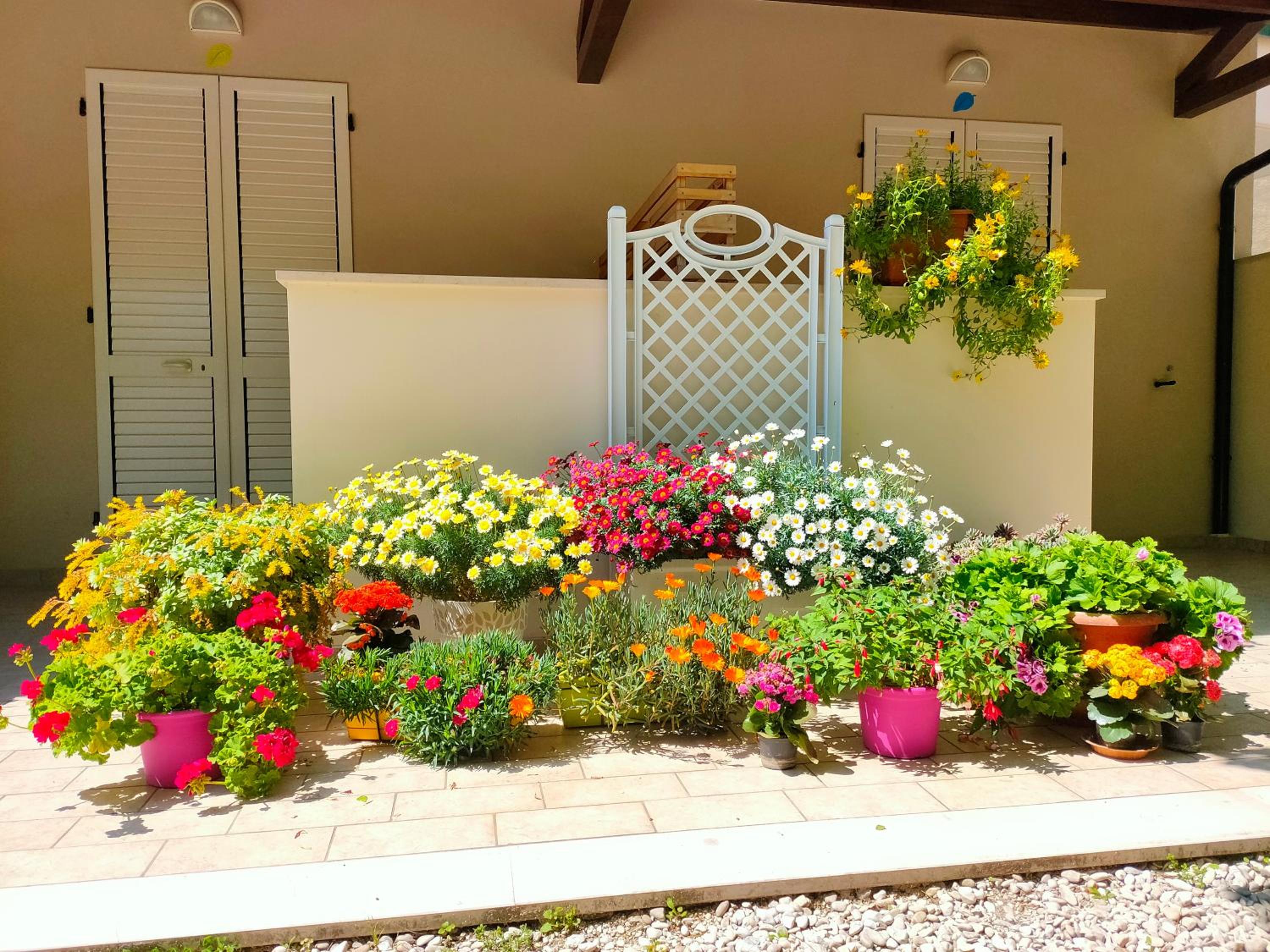 Il Gelso di Sofia B&B, photo 19