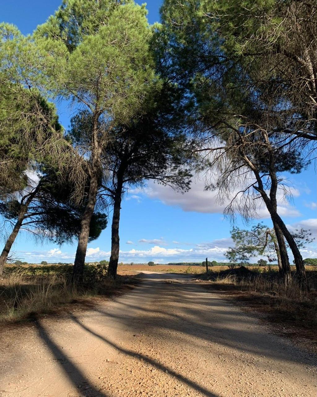 Casa Rural La Navarra