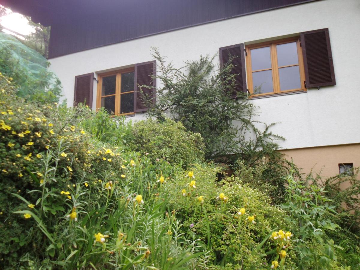 Haus Ilse