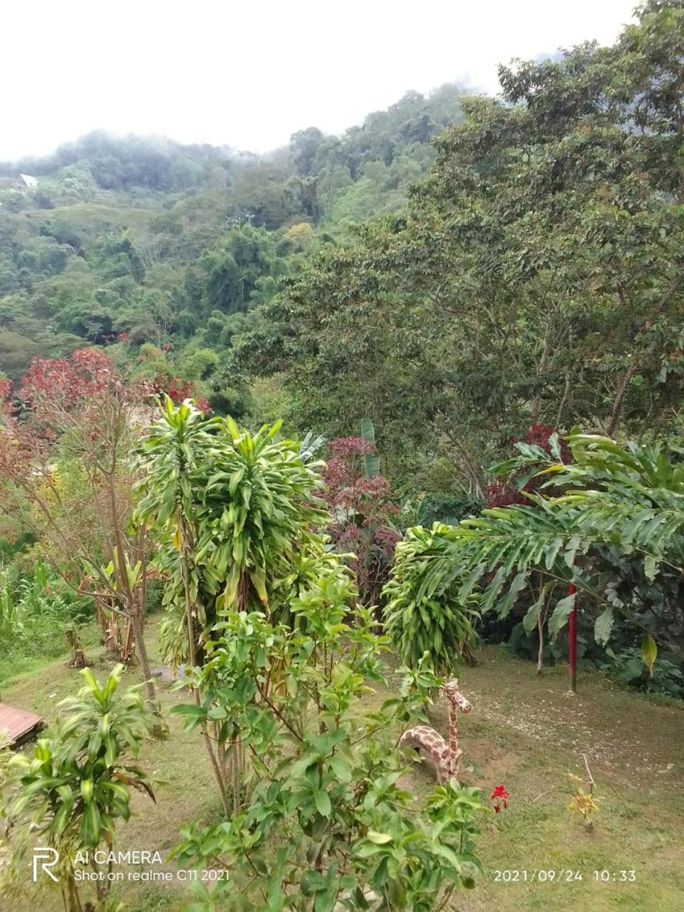 Miradores Del Oso Perezoso
