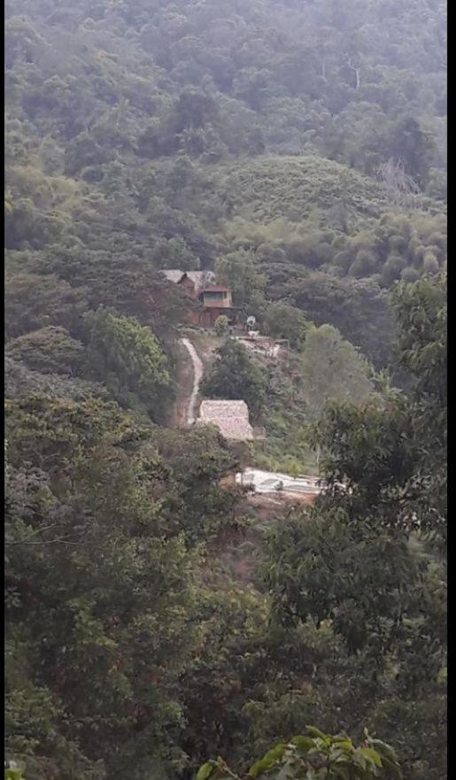 Miradores Del Oso Perezoso