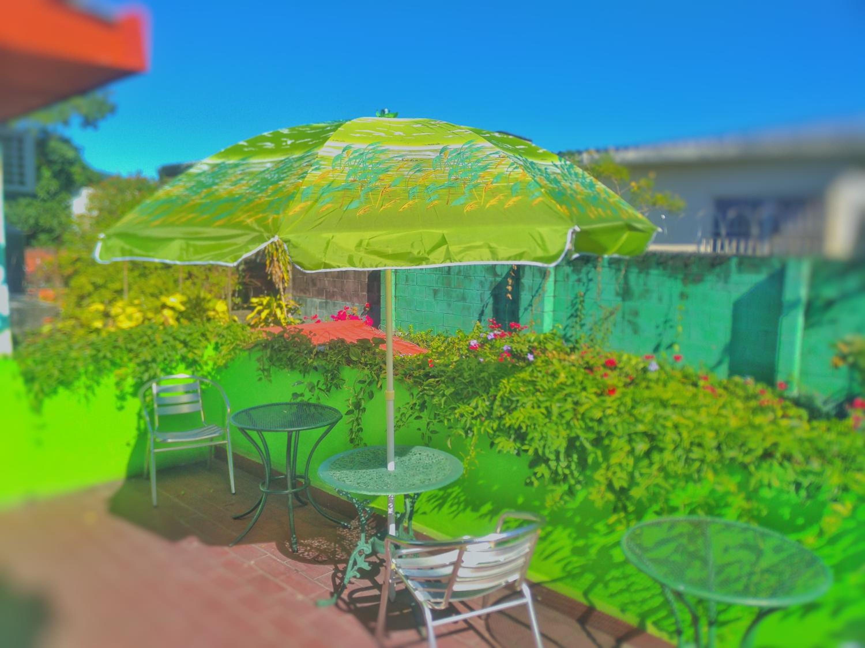 Hotel Oasis