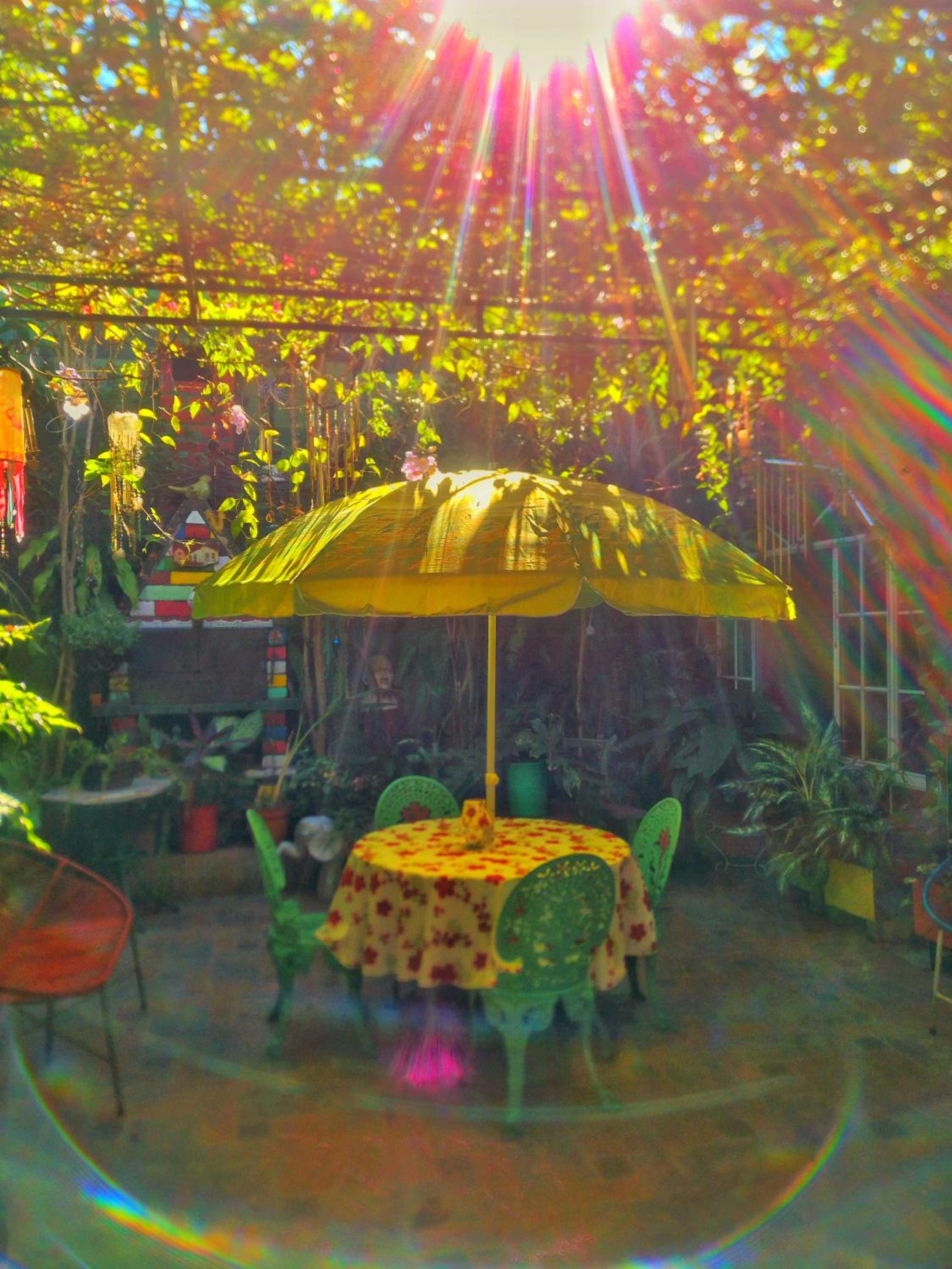 Hotel Oasis