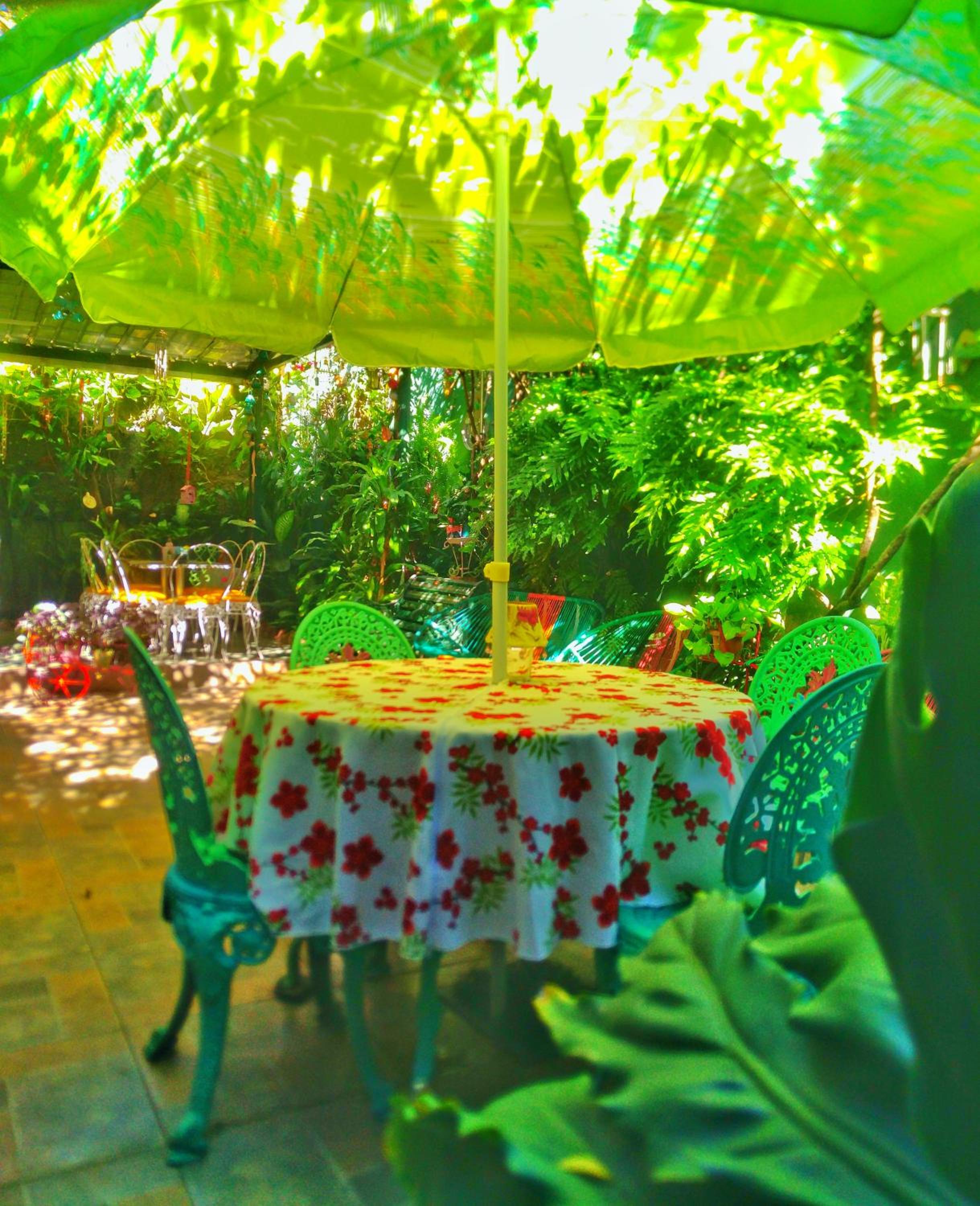 Hotel Oasis