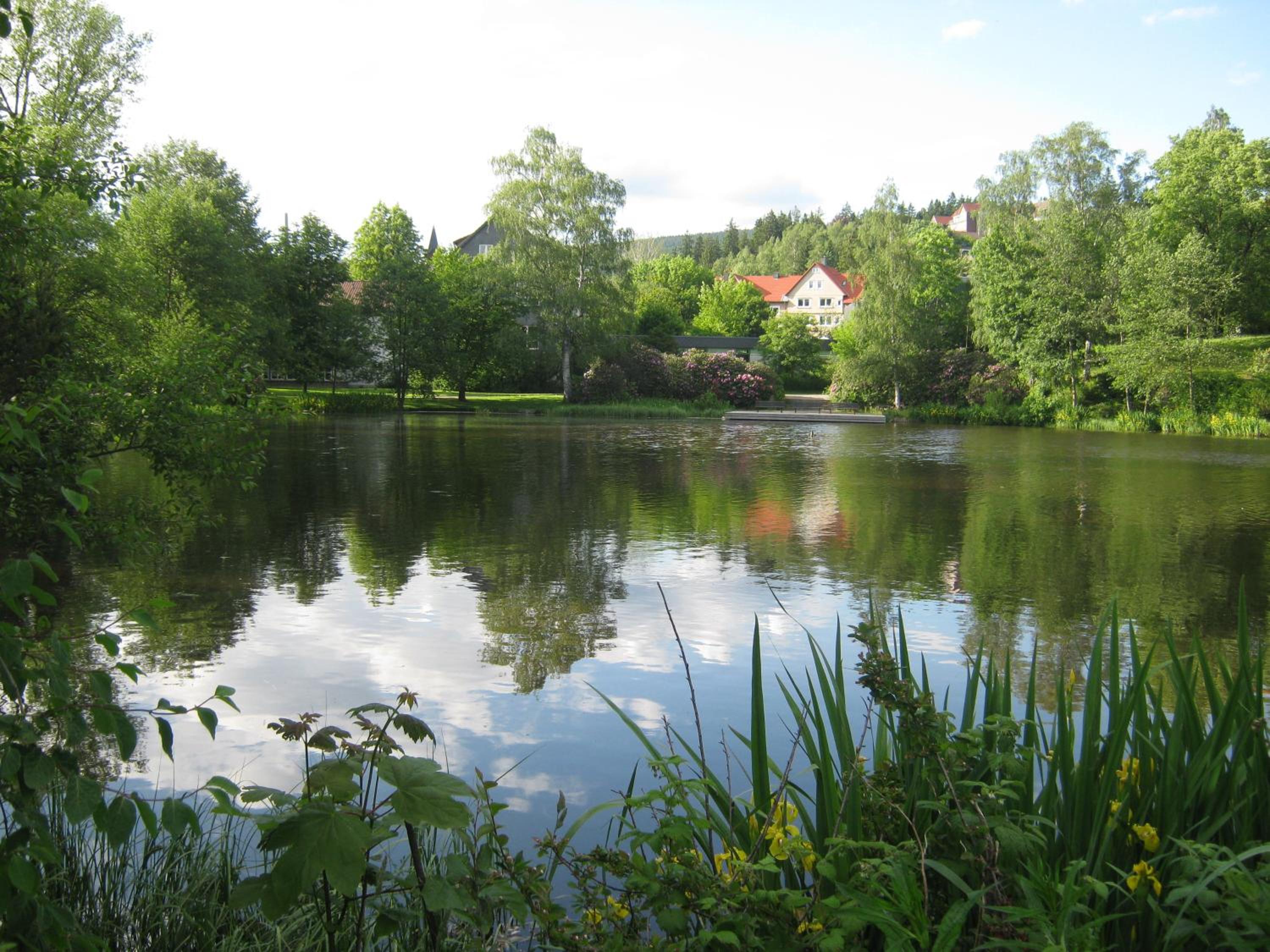 Photo 9