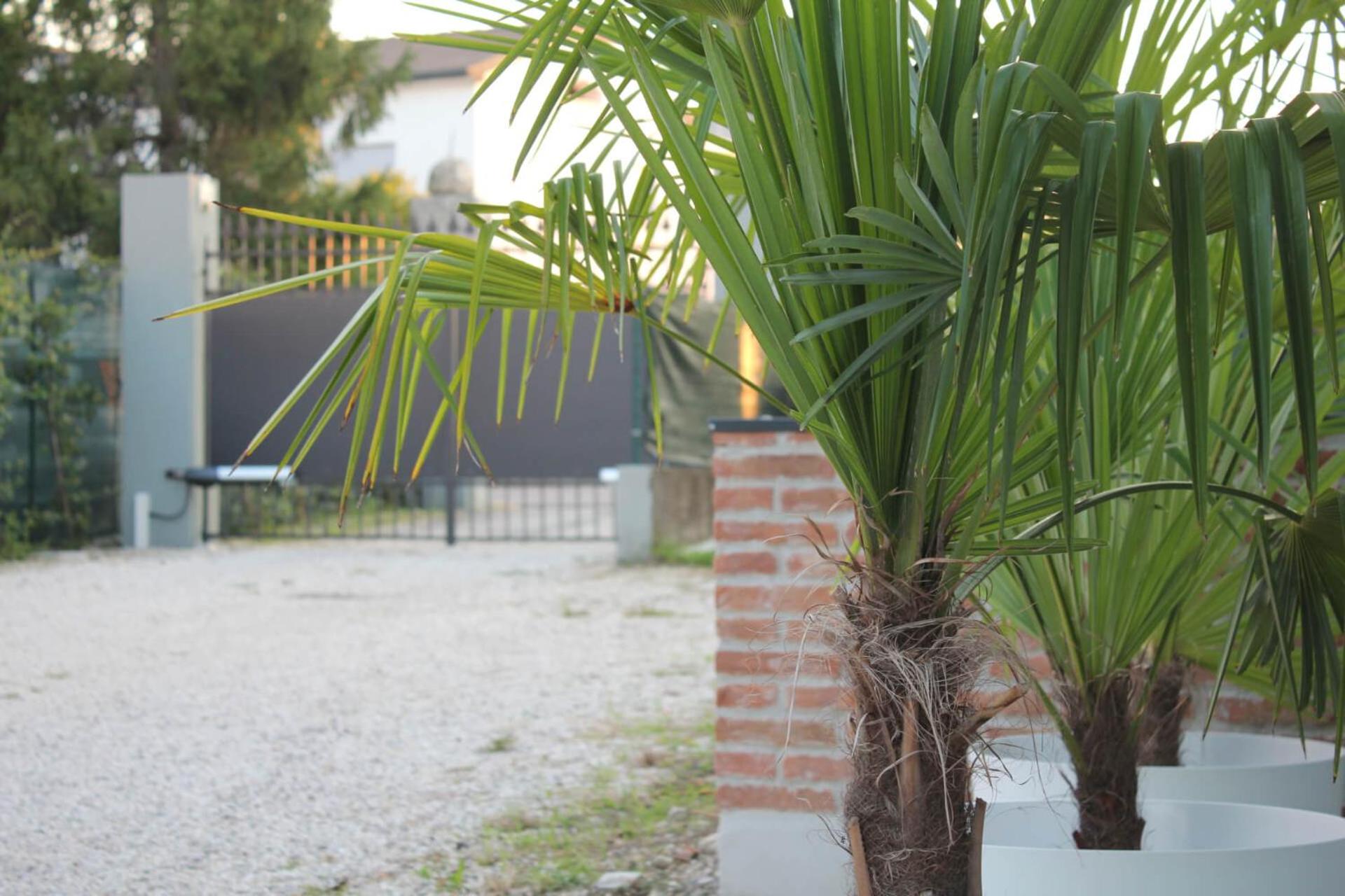Nuovo B&B WhyNot? a Vicenza view 3