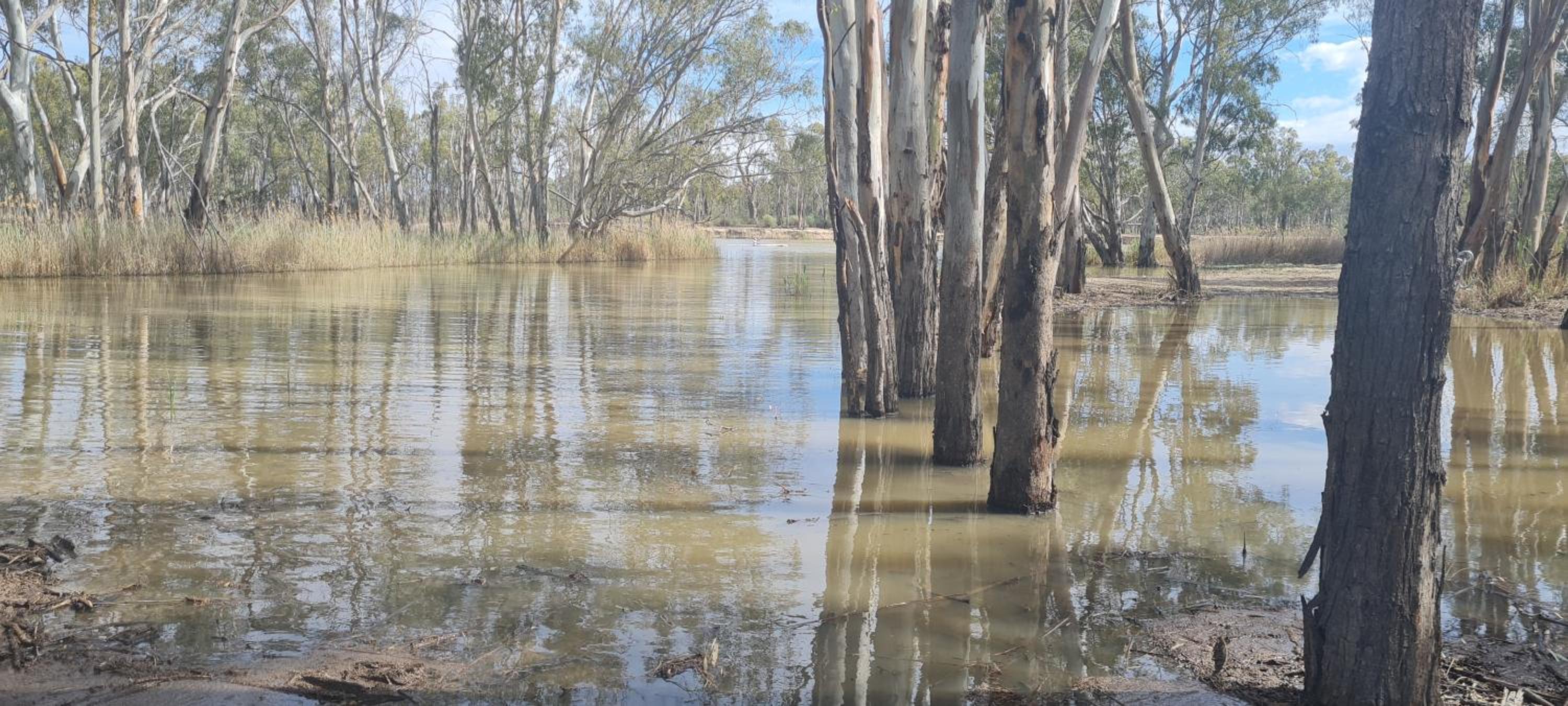 Riversands Rest Accommodation Paringa - Coobah Cottage