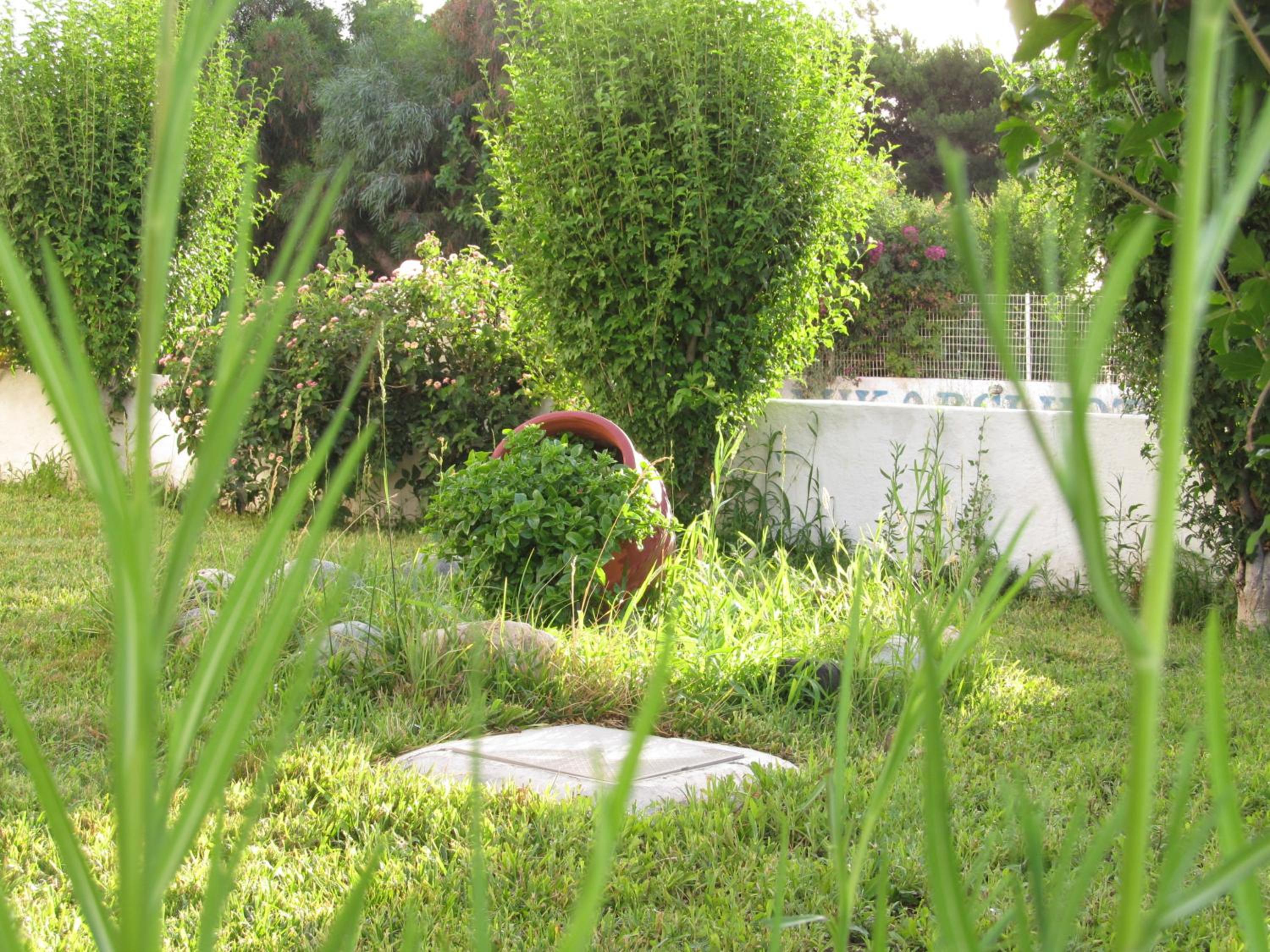 Photo 53