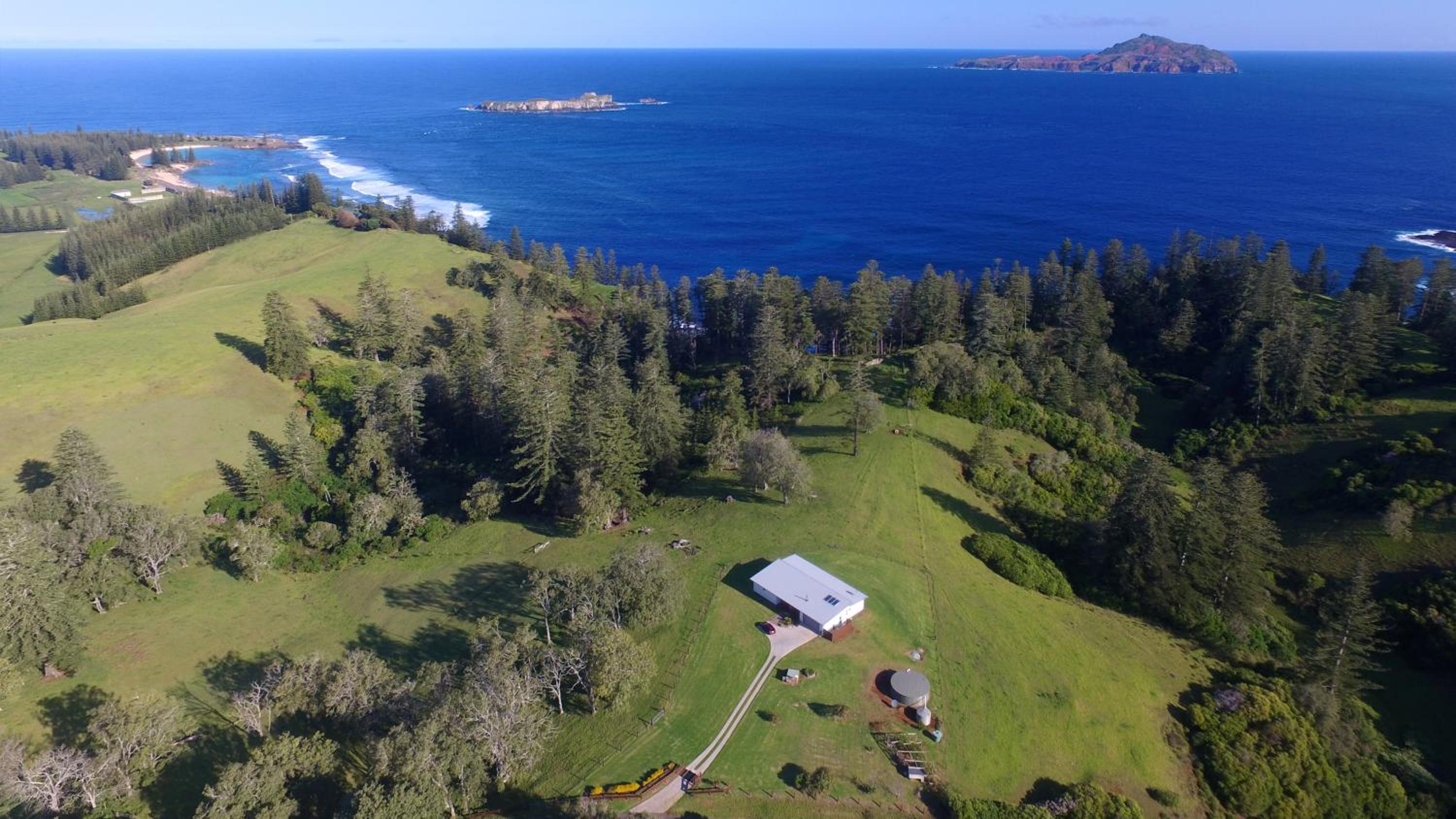 Beefsteak Homestead view 4