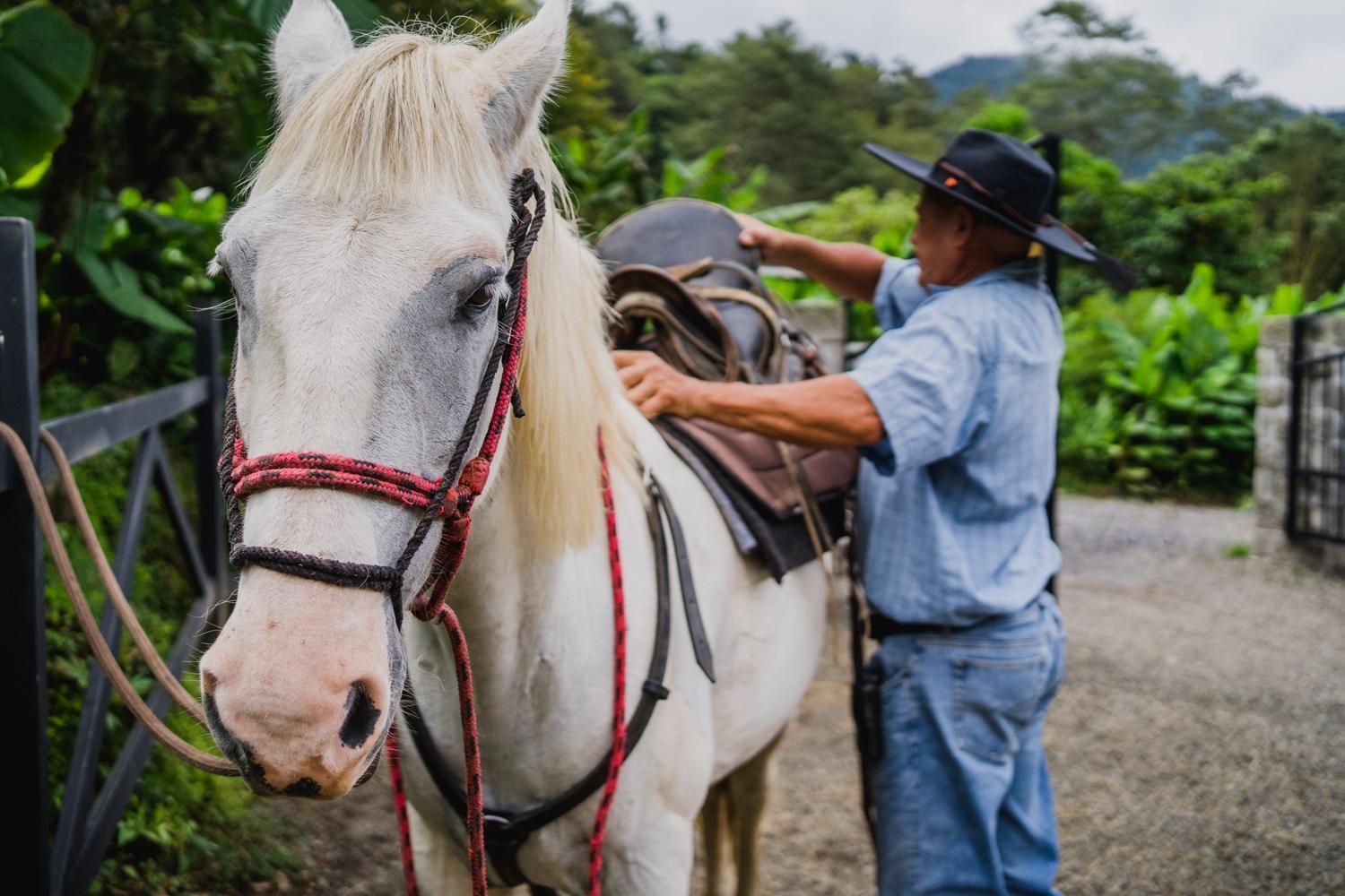 El Silencio Lodge & Spa Costa Rica