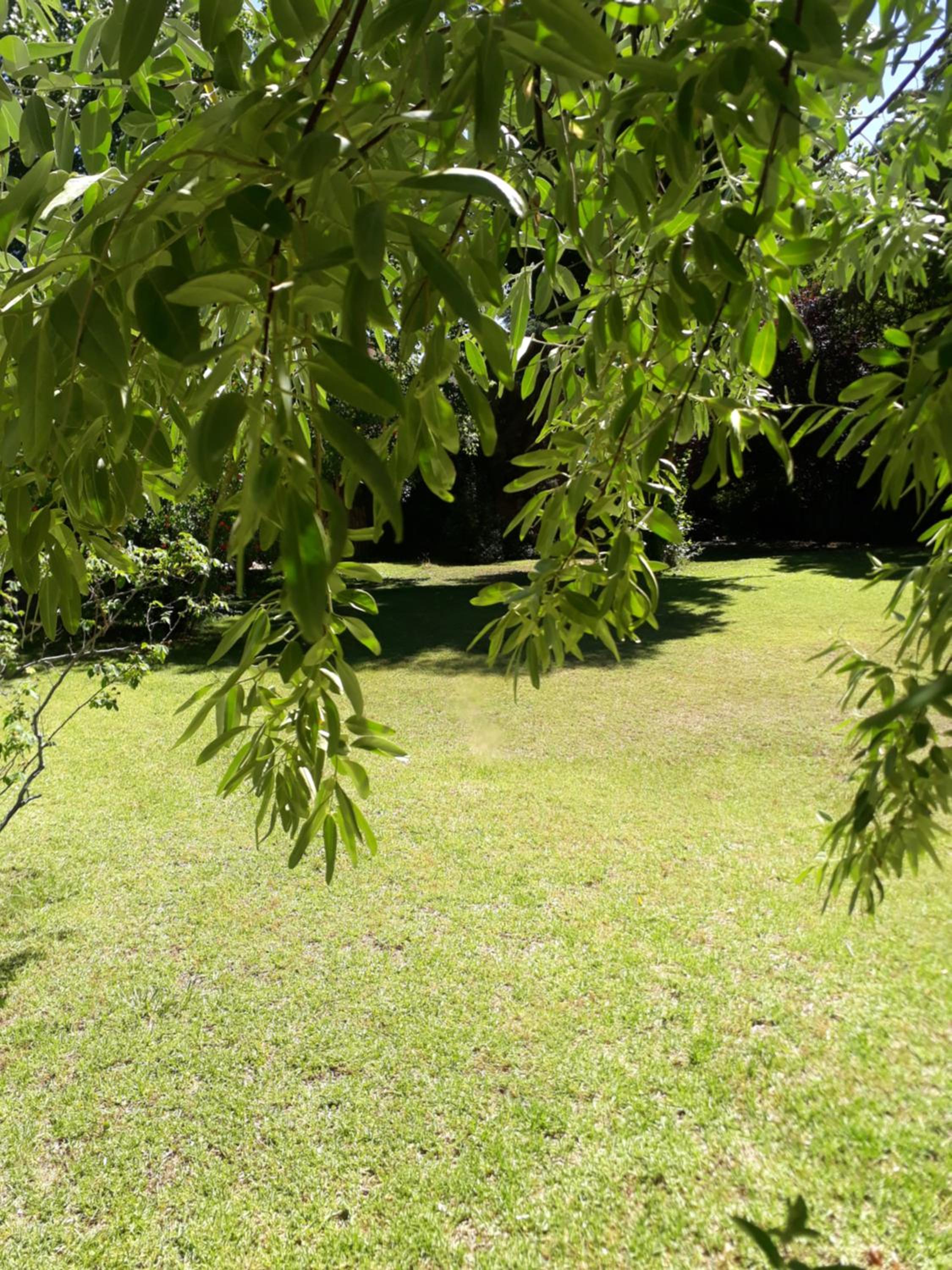 La casita en el parque