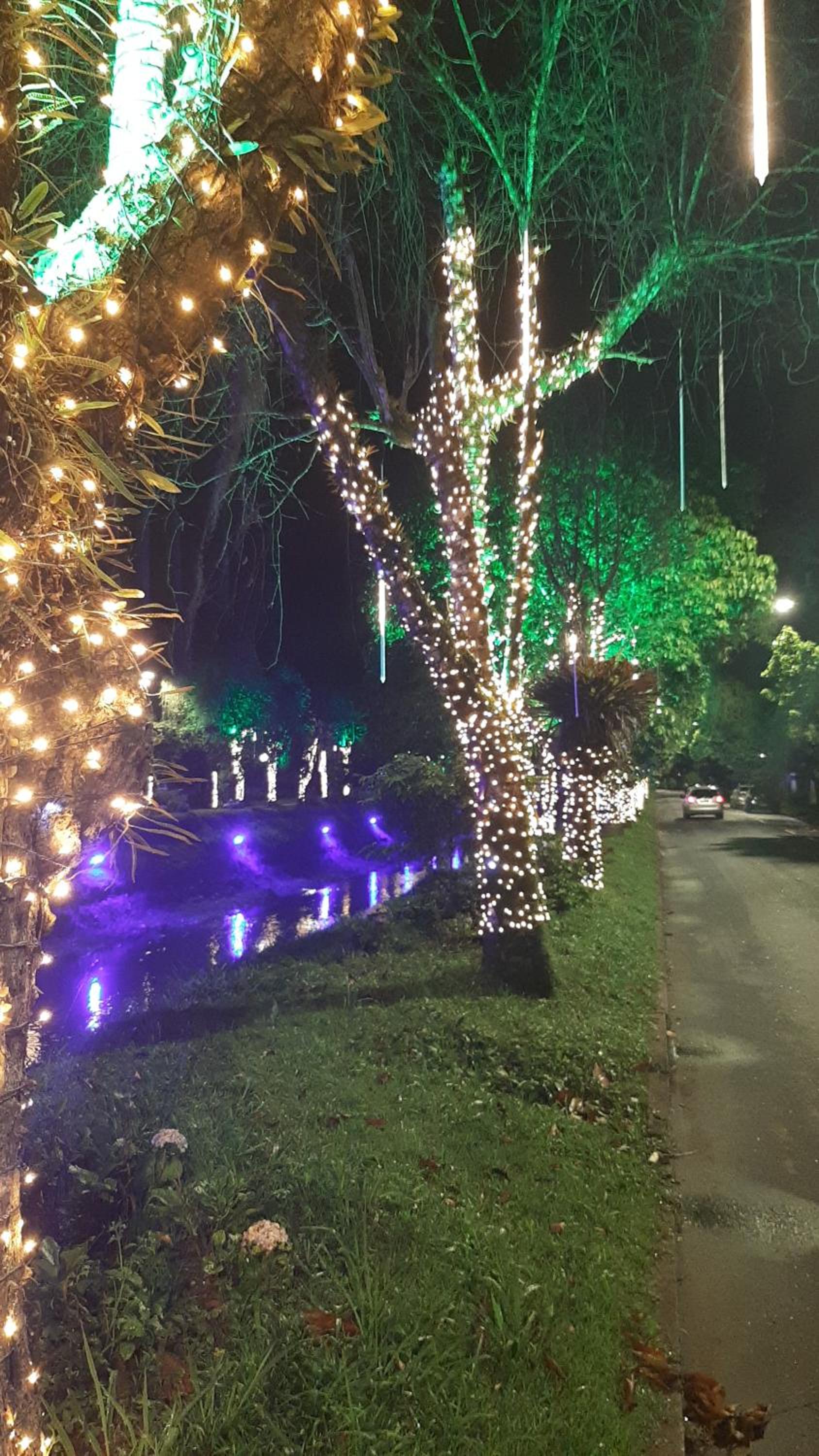 Casa do lenhador