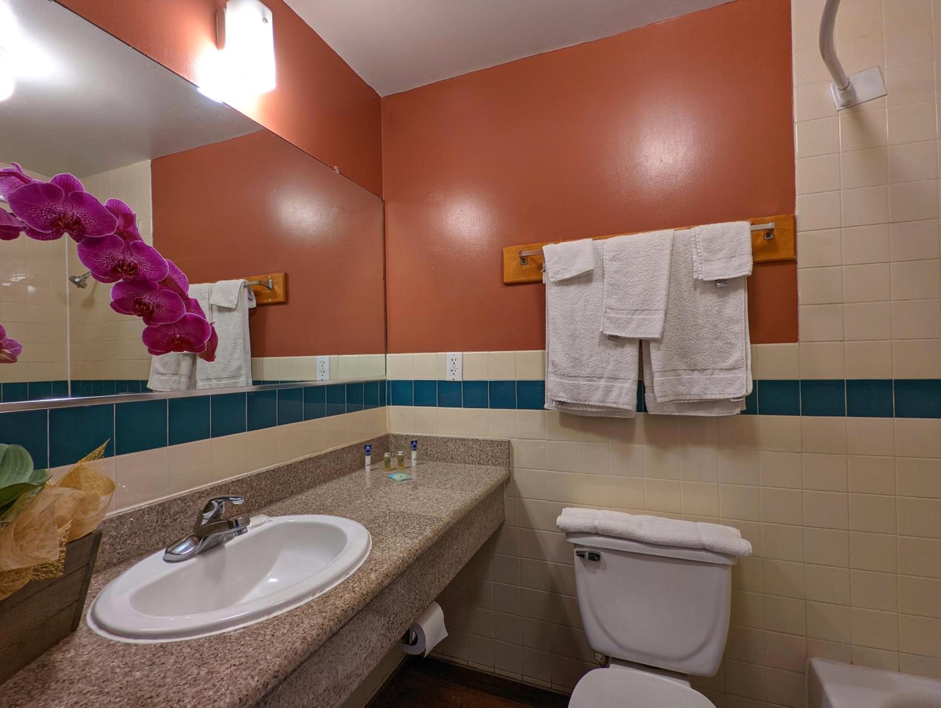 Americas Best Value Inn Oxnard-Port Hueneme - Property Image 26