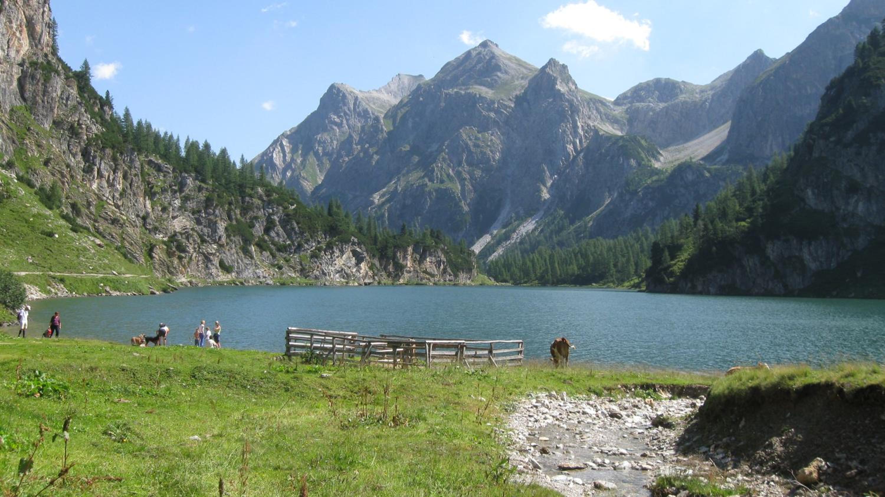Photo 40