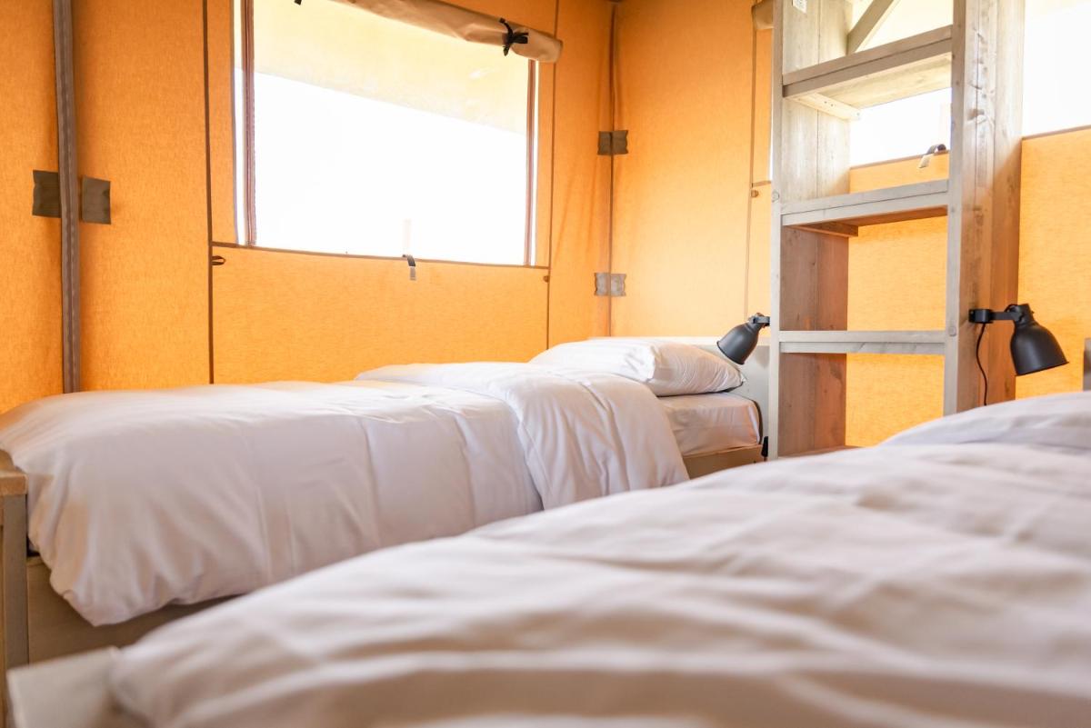 Glamping Lodge Waddenzee view 5