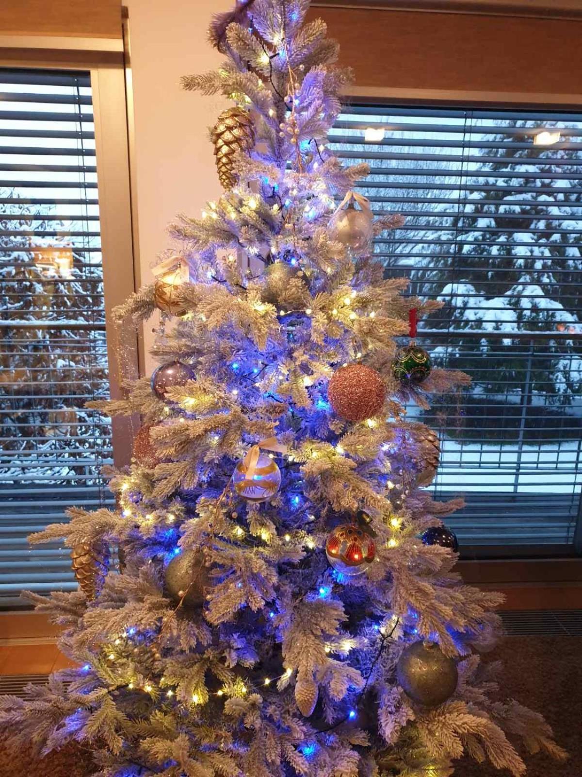 Photo 13