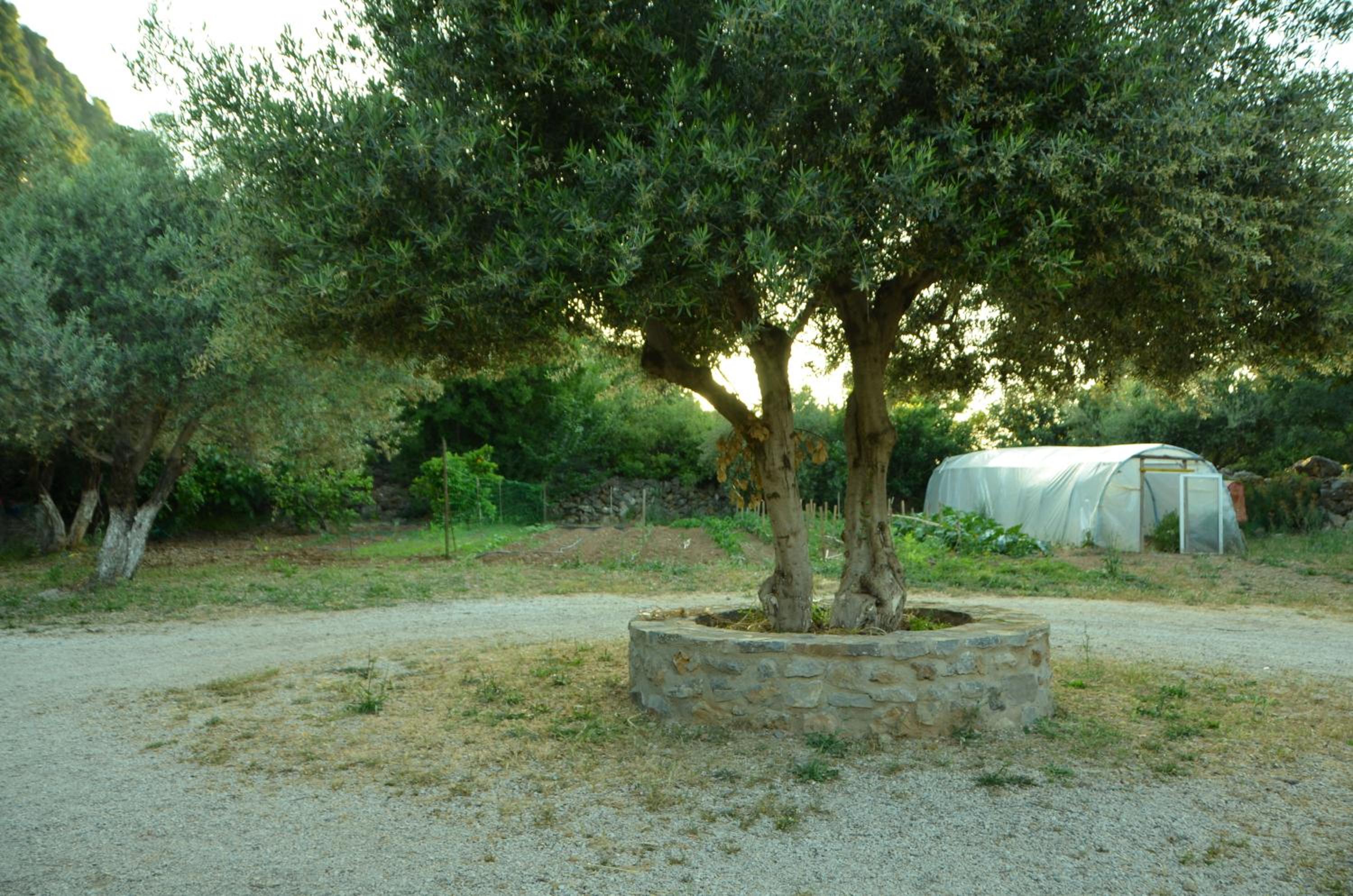 Photo 42
