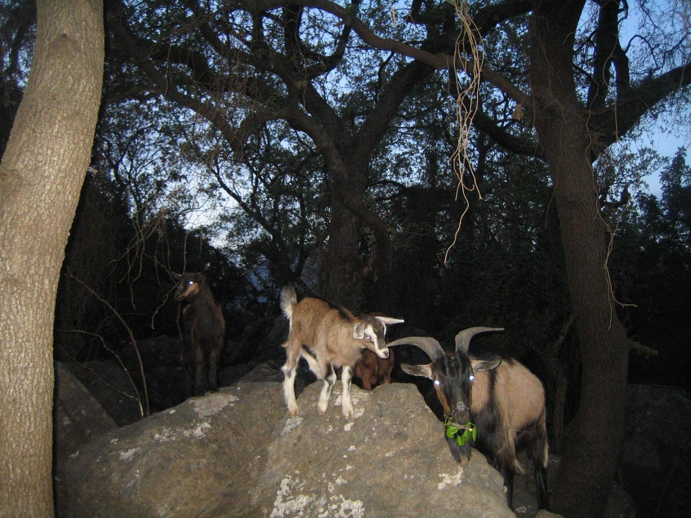 Photo 44
