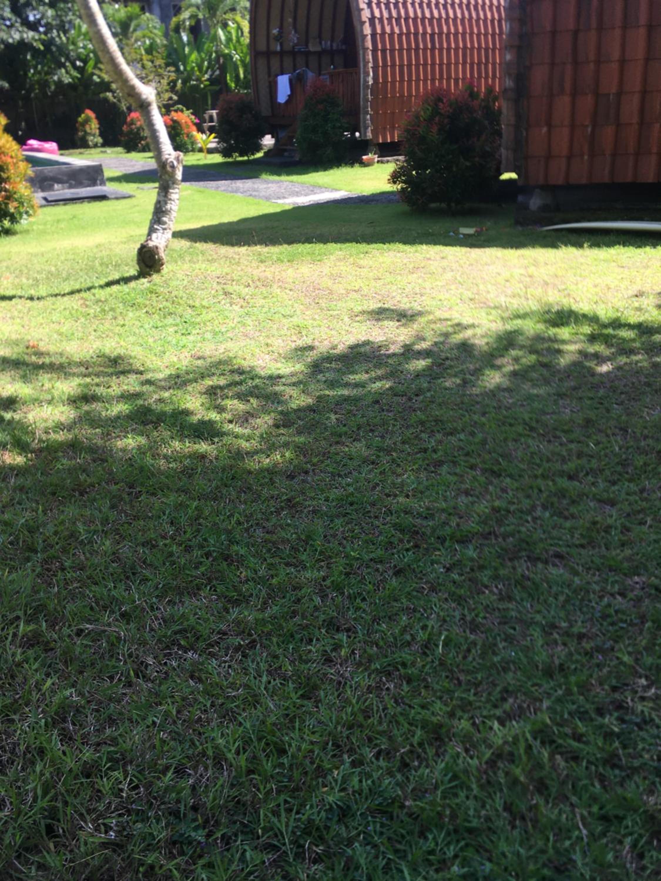 Photo 46