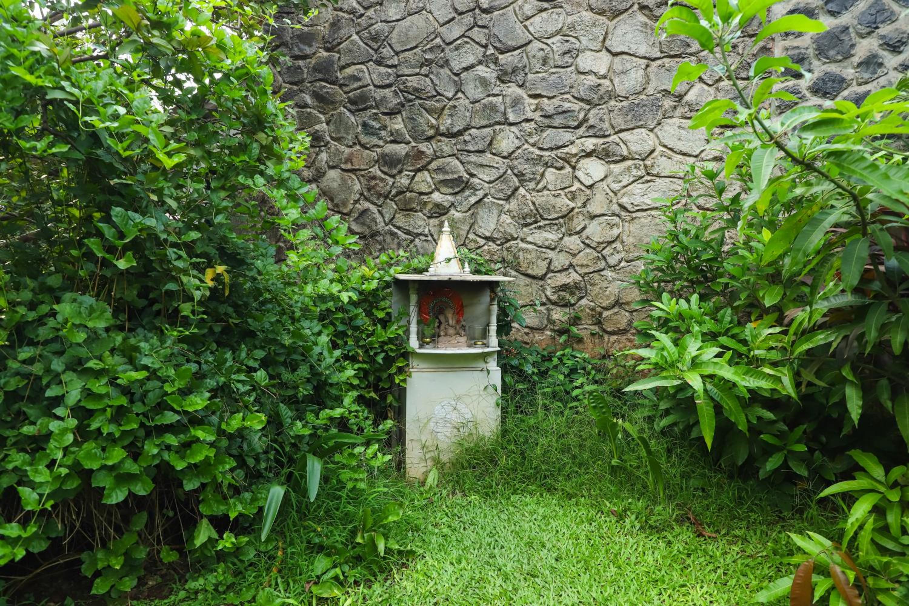 Photo 19