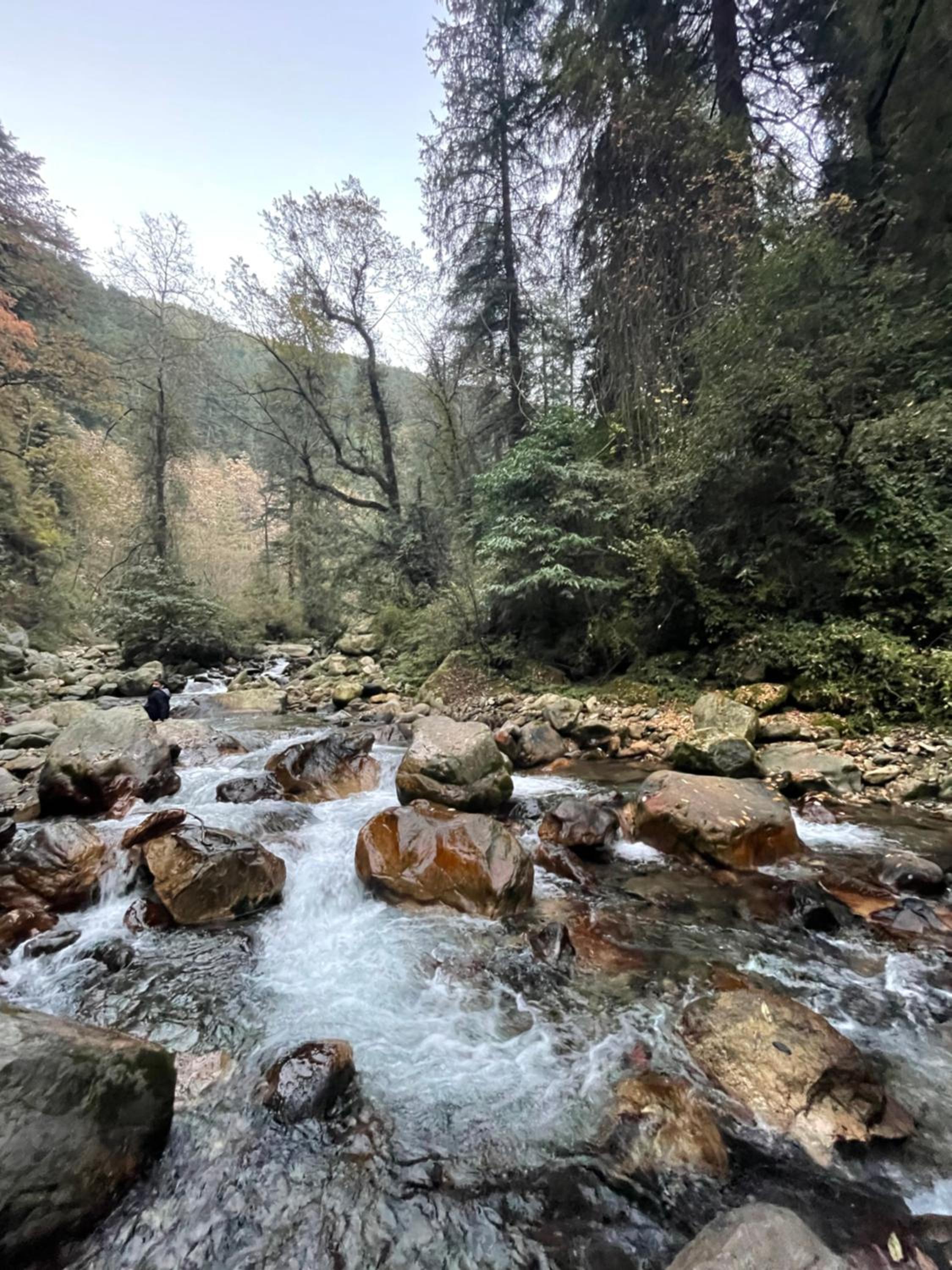 Rustic wood house - A village home stay in Jibhi Valley