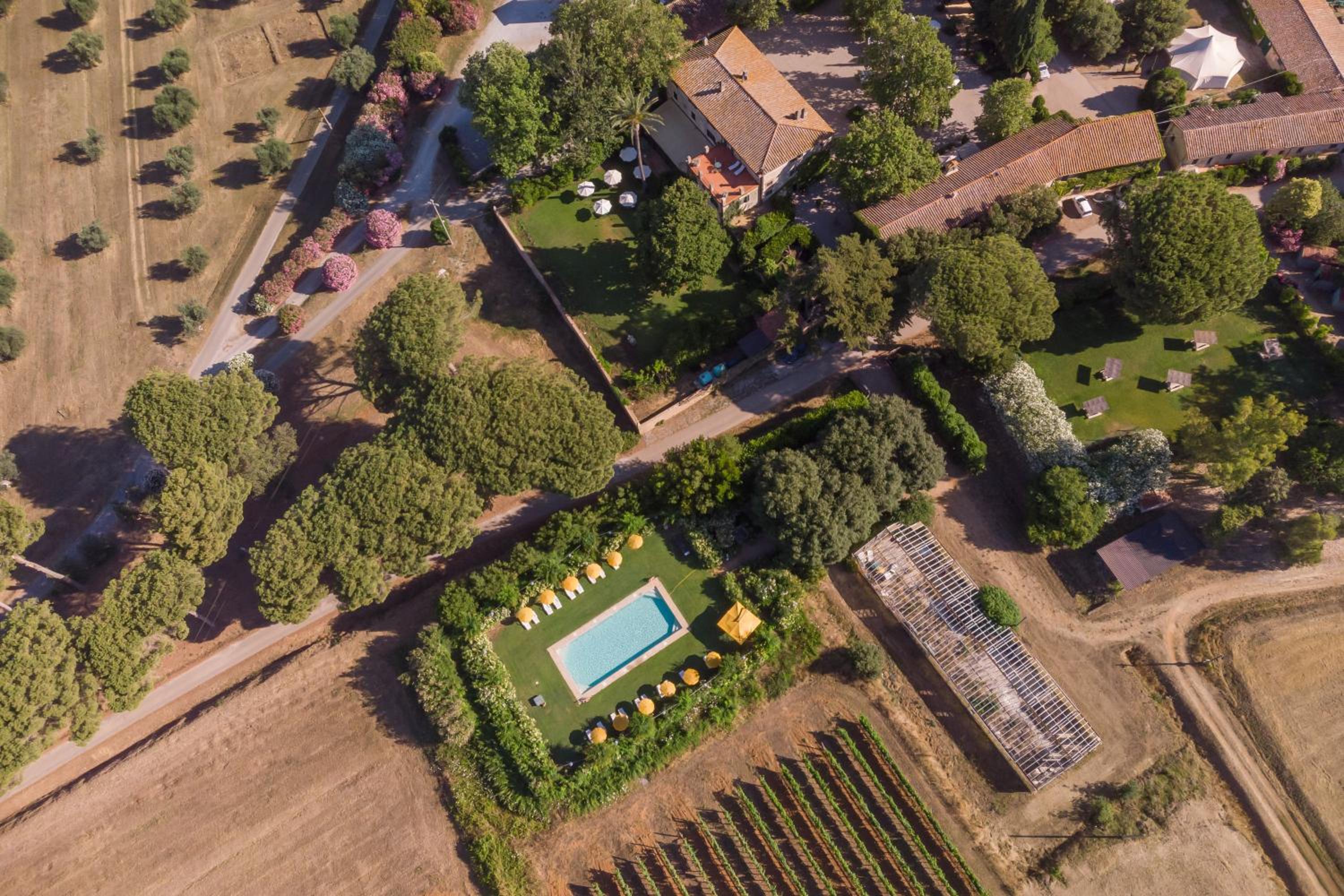 Antica Fattoria La Parrina photo 3