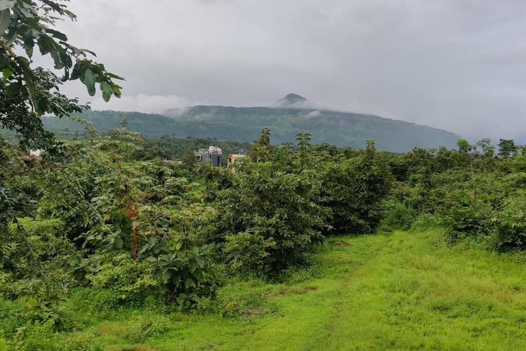 Sunils villa with private pool, Machan and play area in Karjat