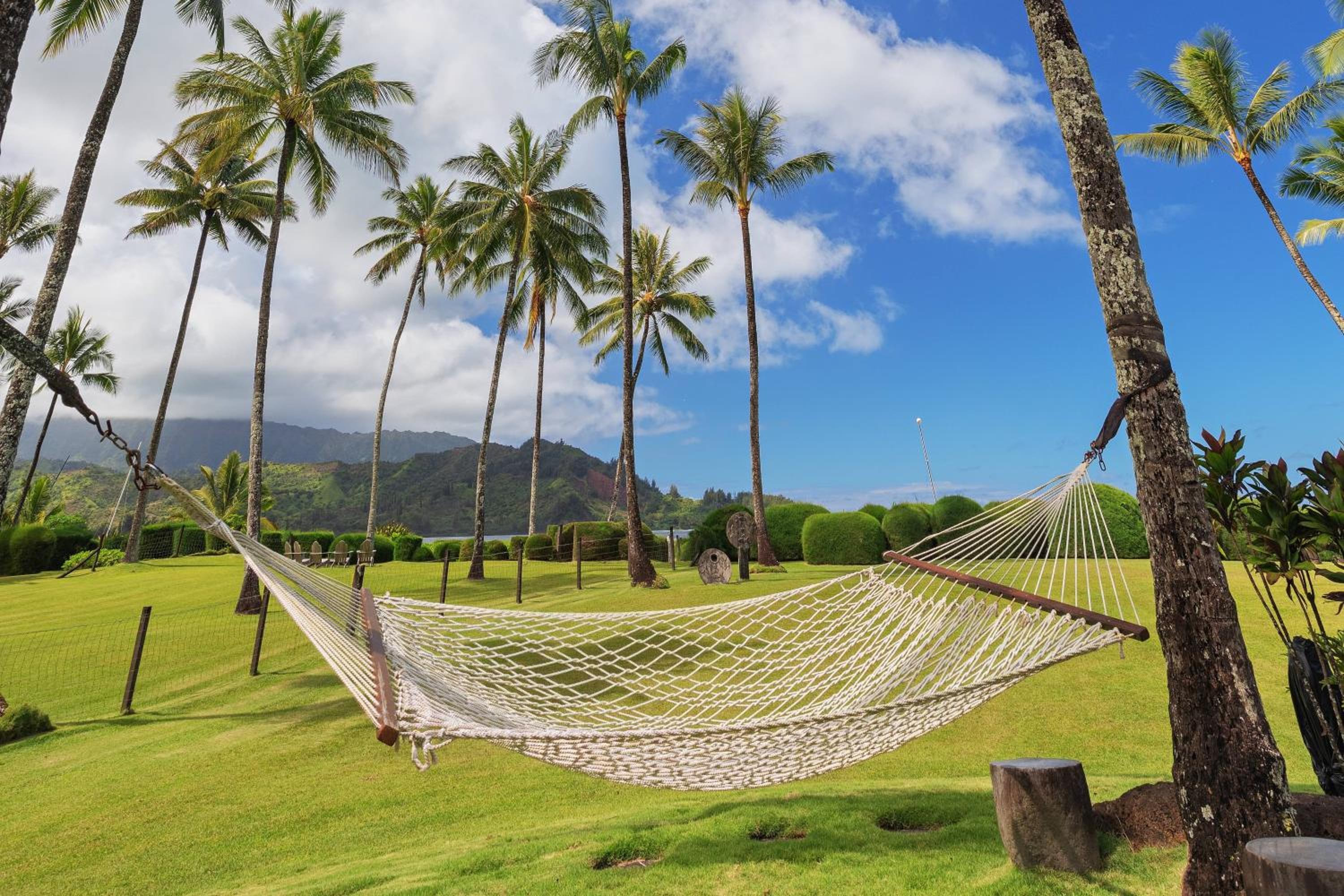 Hanalei Dream home view 5