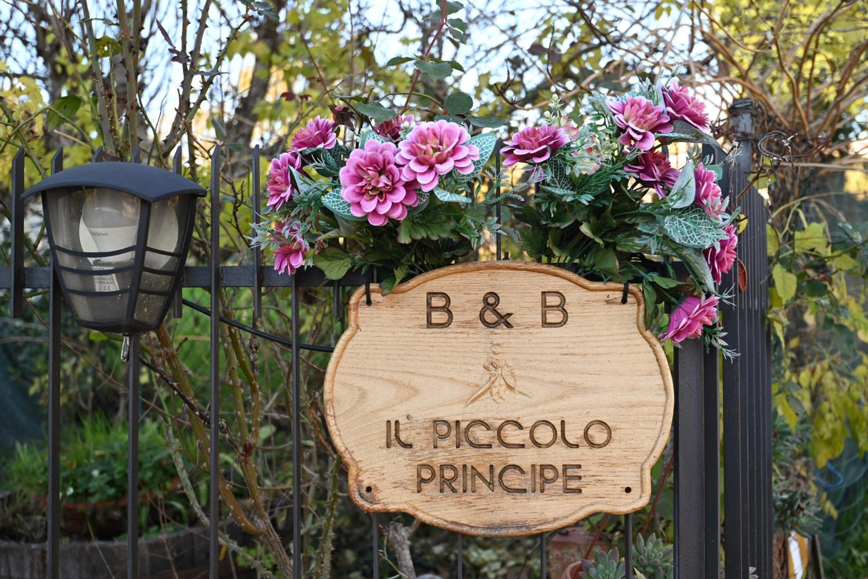 Il piccolo principe view 4