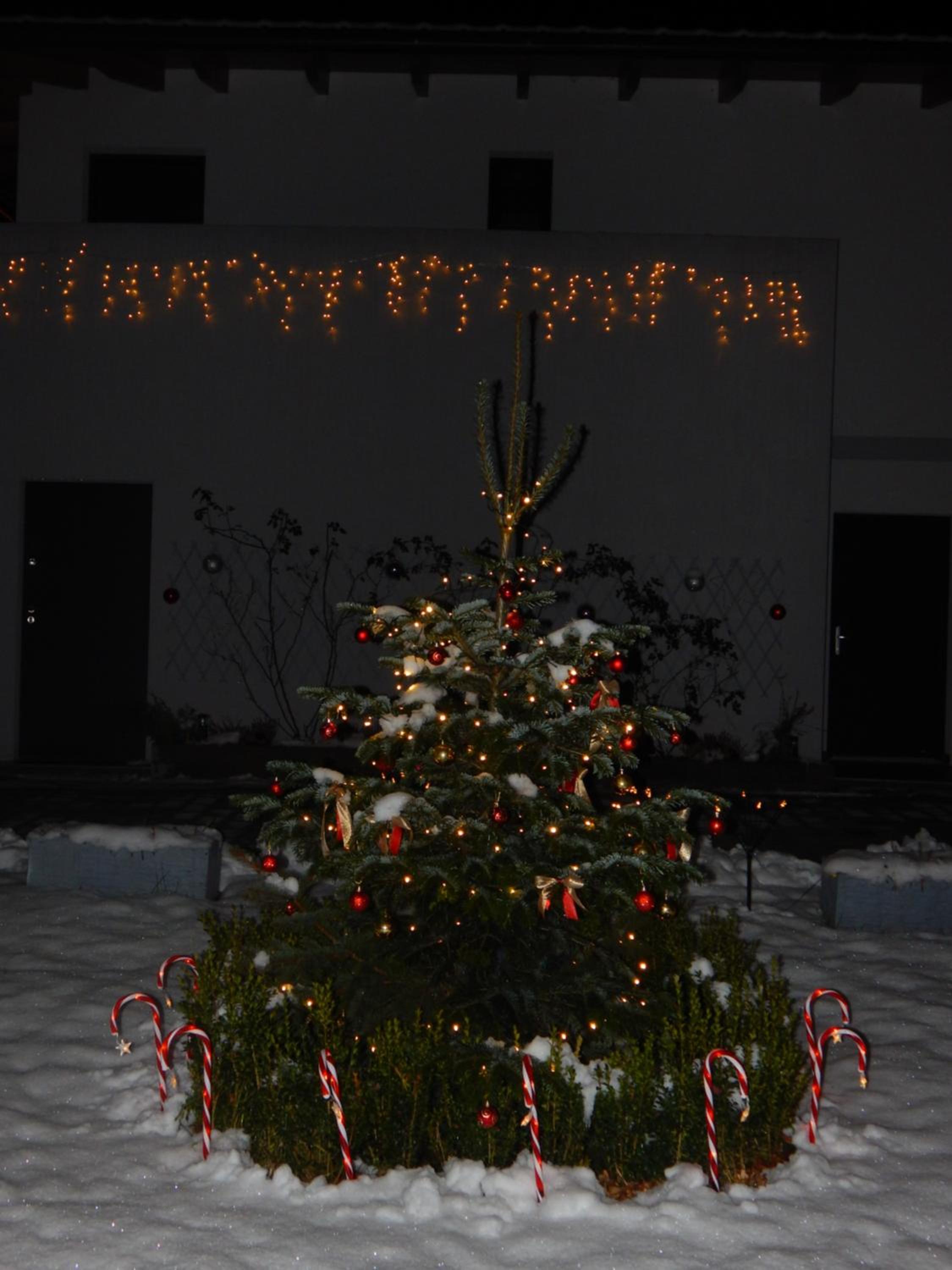 Photo 35