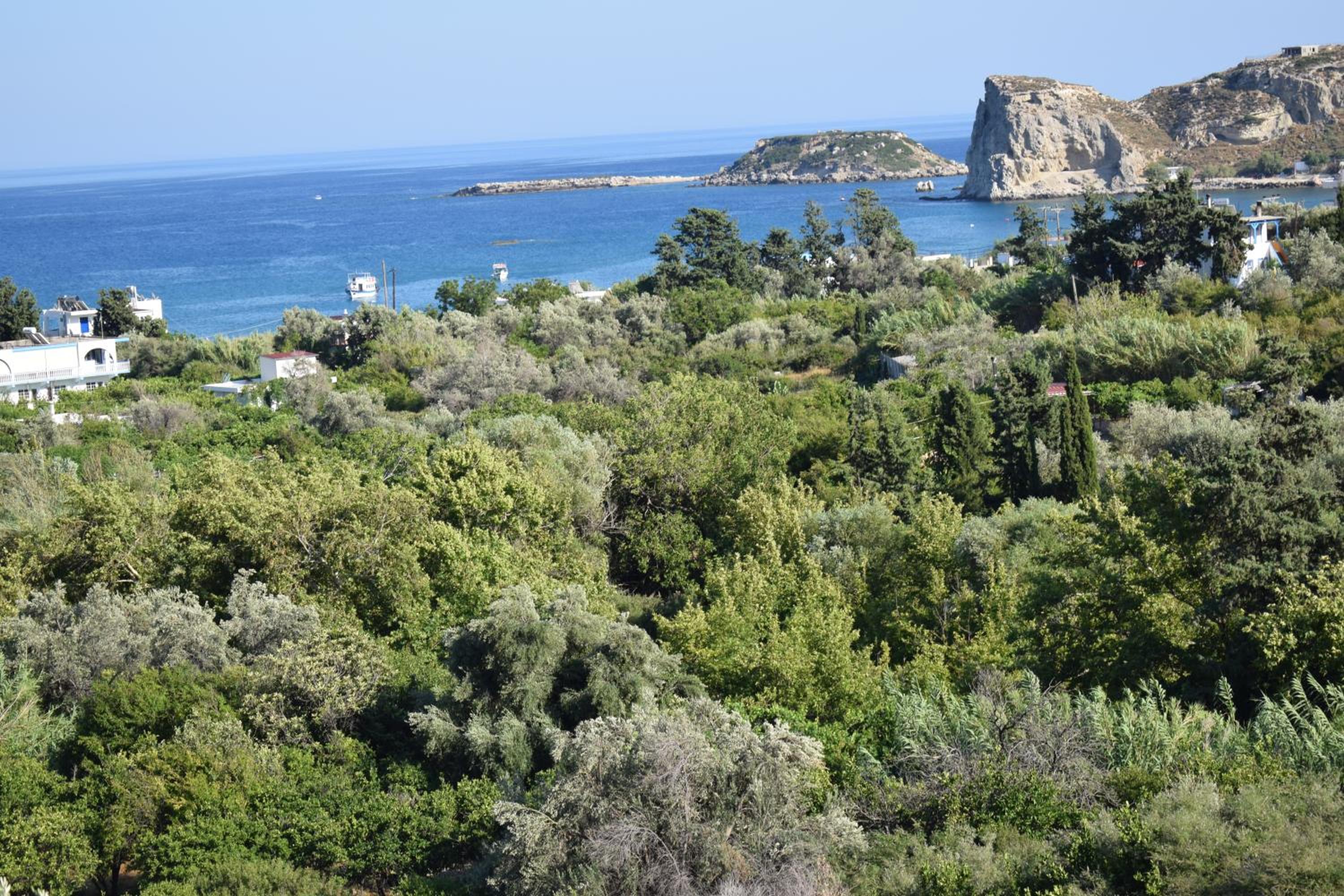 Filia Bungalow view 4
