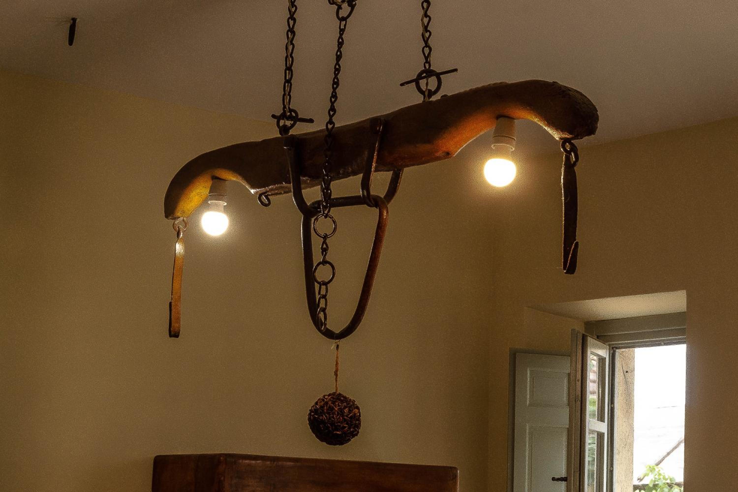 Agriturismo L'Olmo photo 5